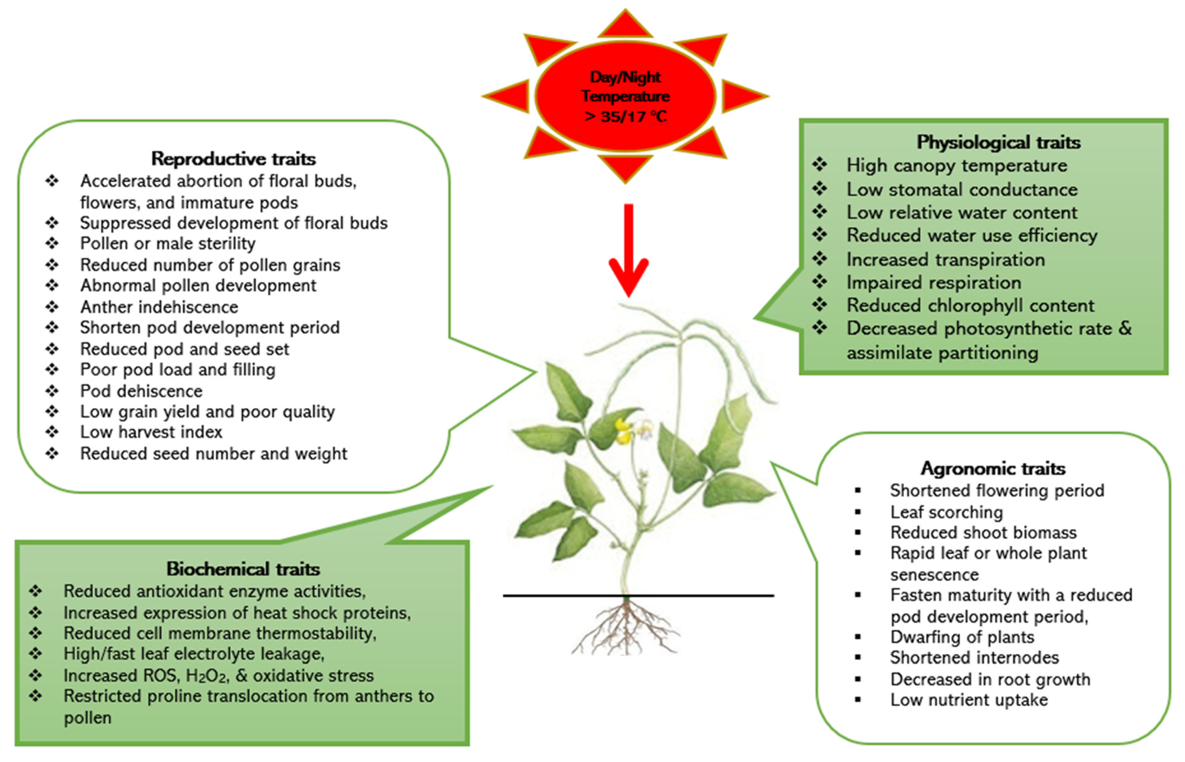 Agronomy 14 00513 g001