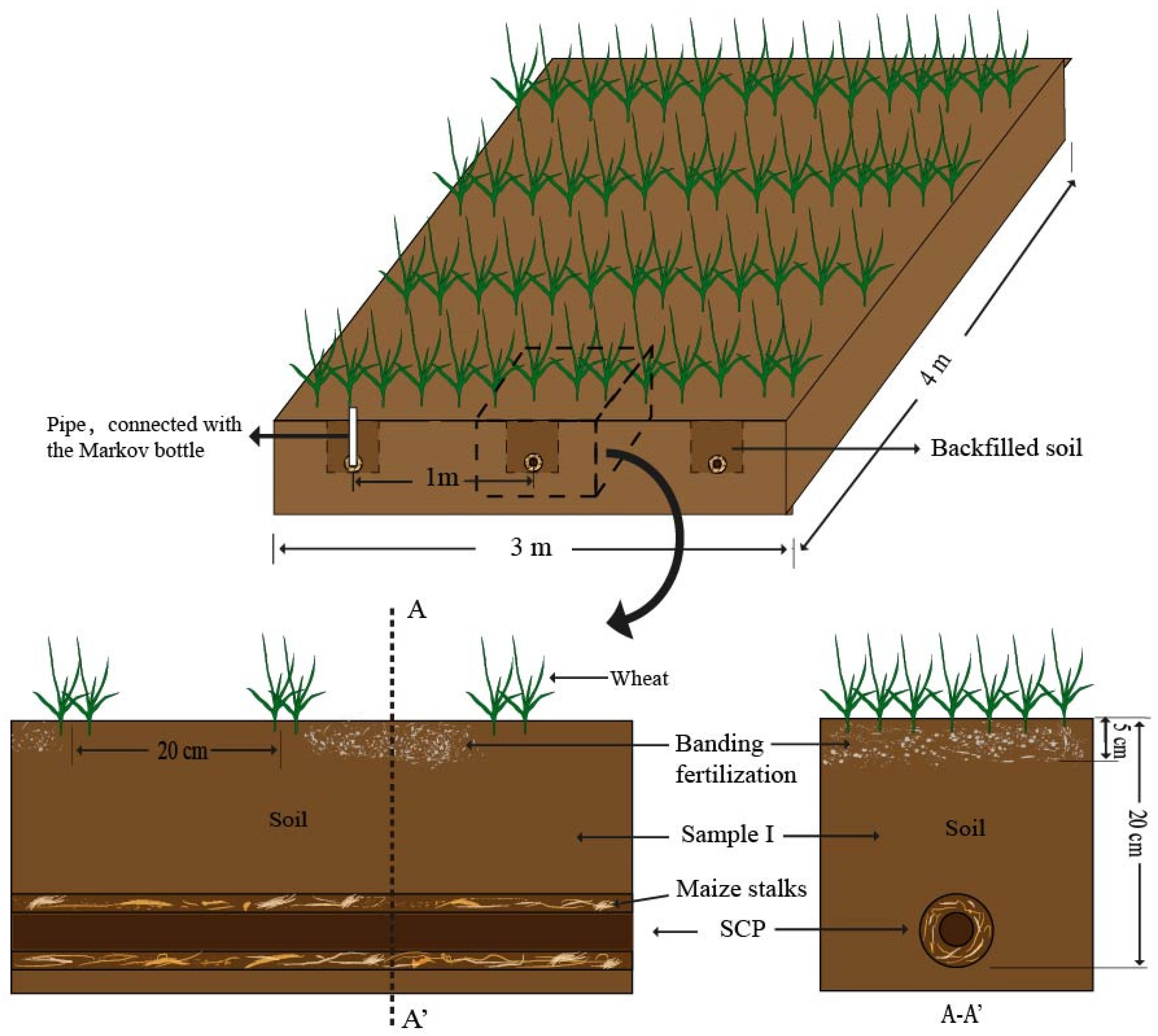 Agronomy 14 00529 g002