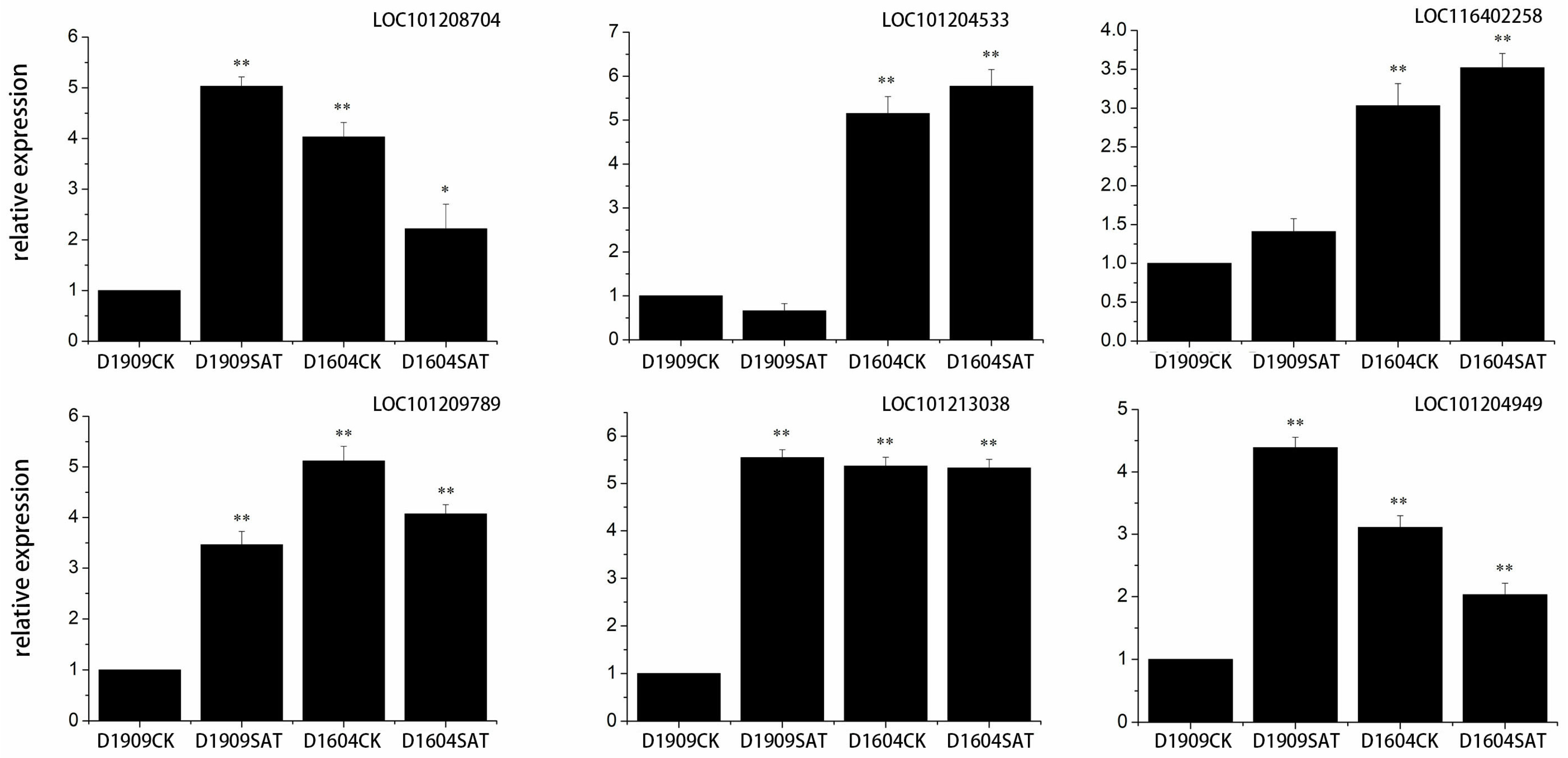 Agronomy 14 00543 g004b