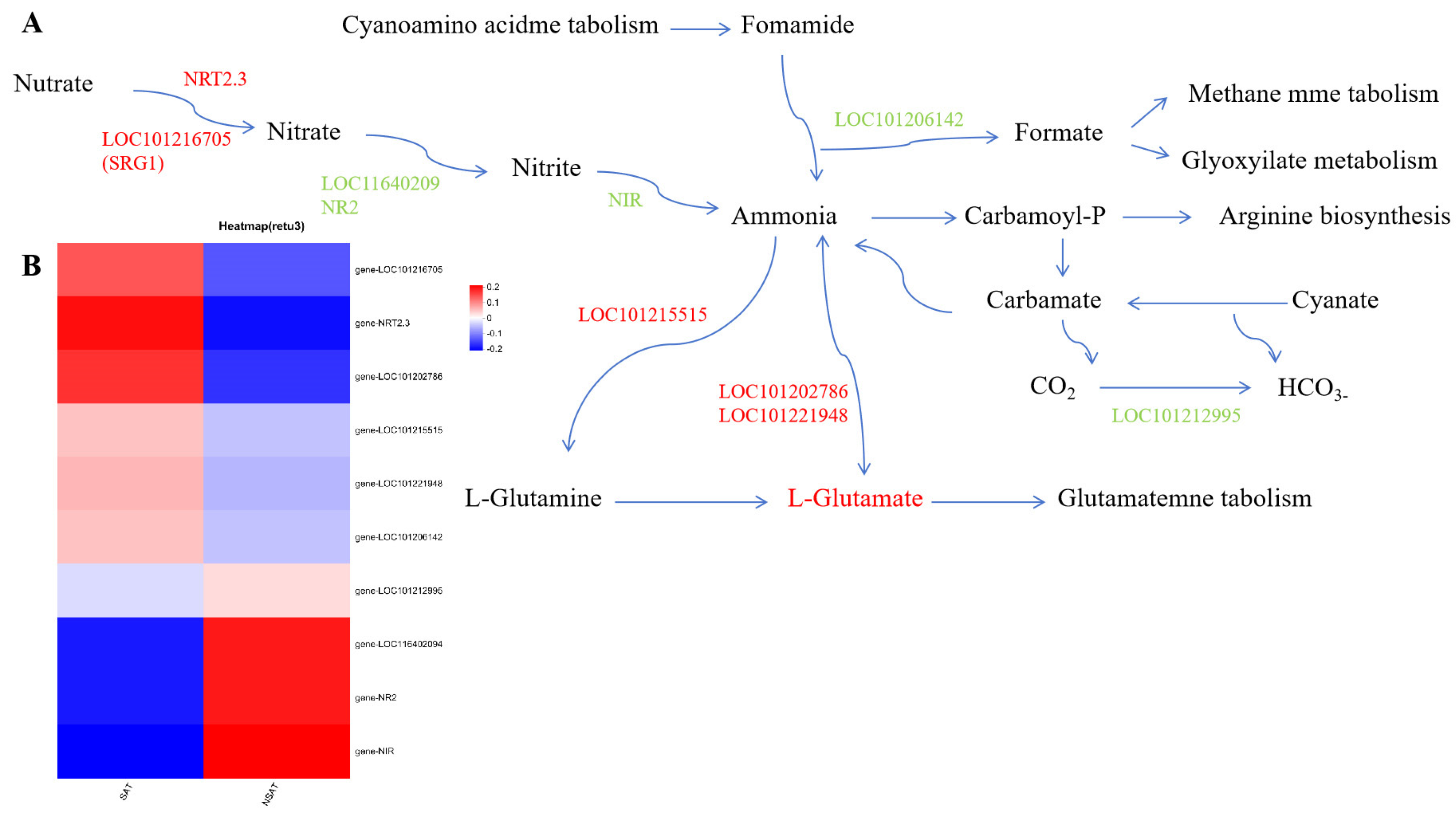 Agronomy 14 00543 g008