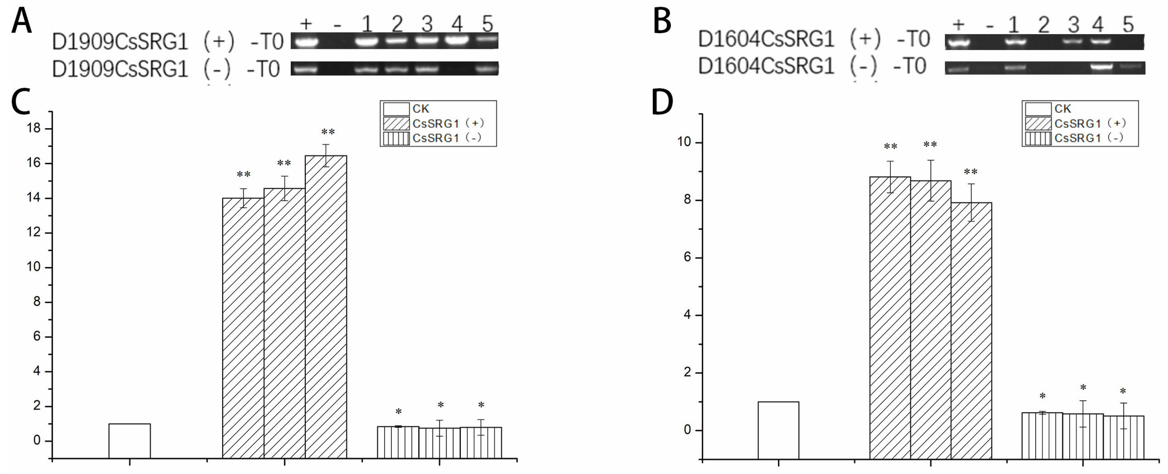 Agronomy 14 00543 g012