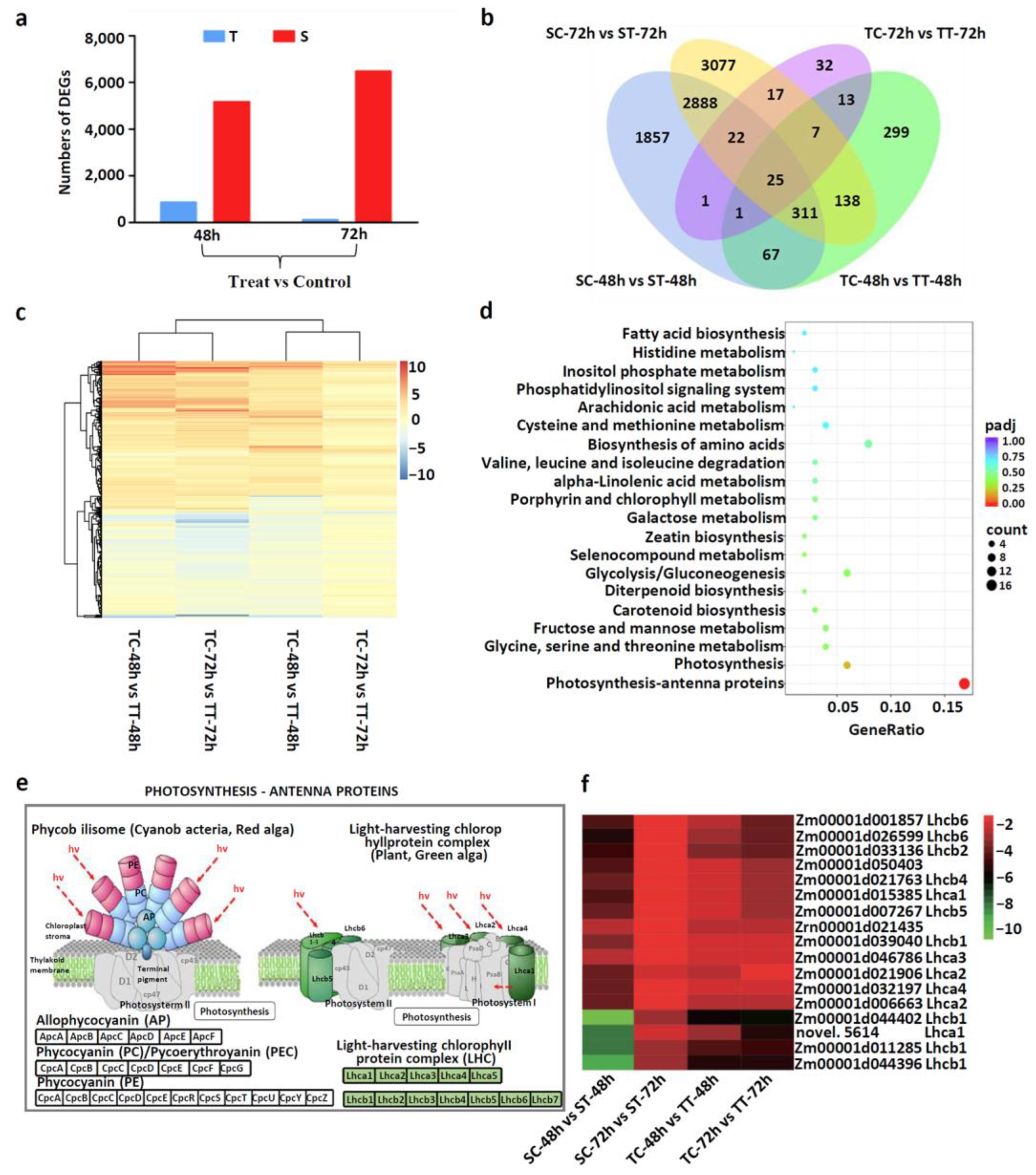 Agronomy 14 00555 g002