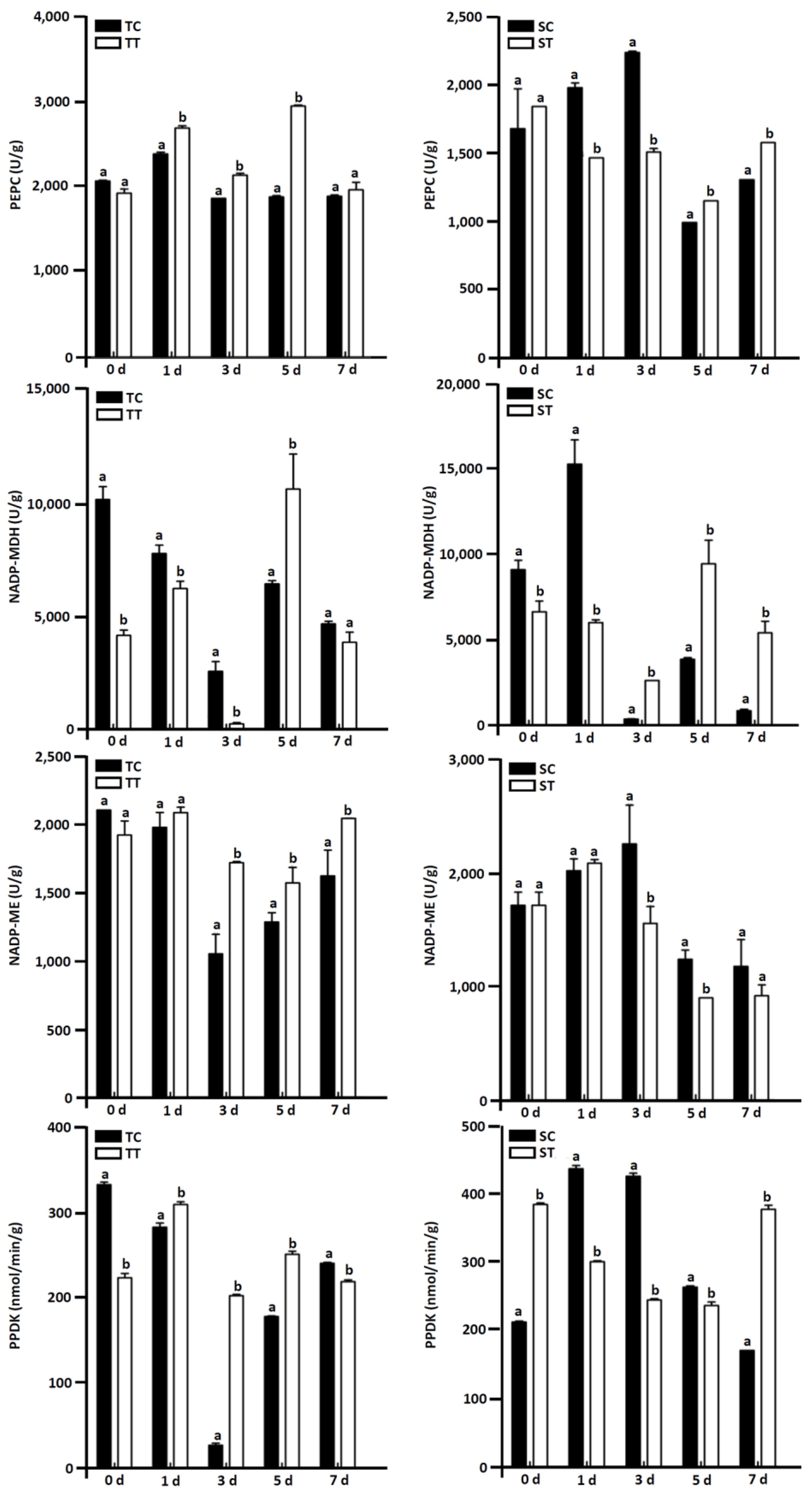 Agronomy 14 00555 g004