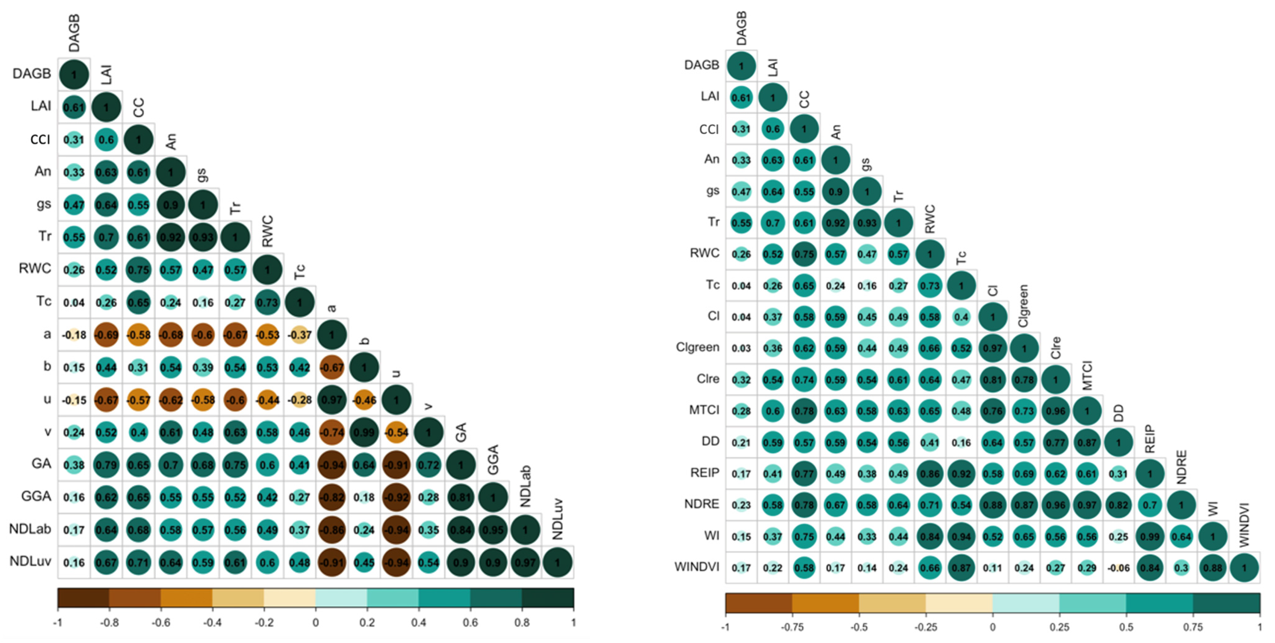 Agronomy 14 00562 g002