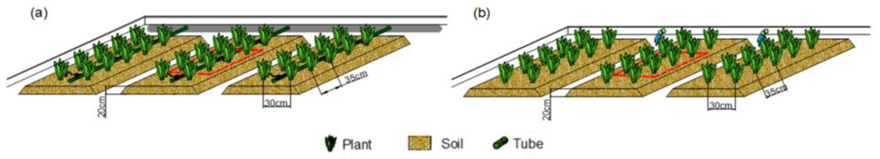 Agronomy 14 00563 g001