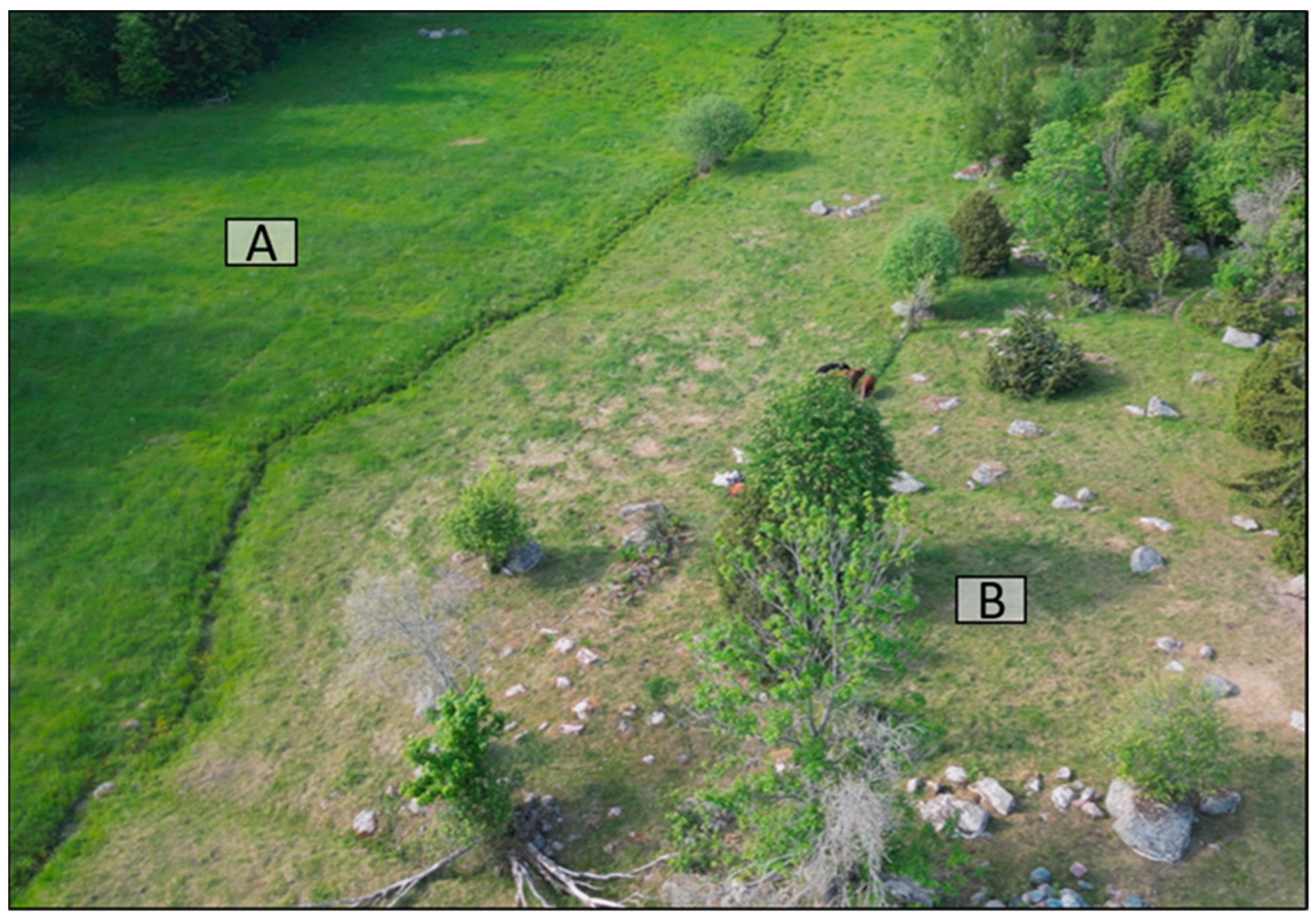 Agronomy 14 00567 g001