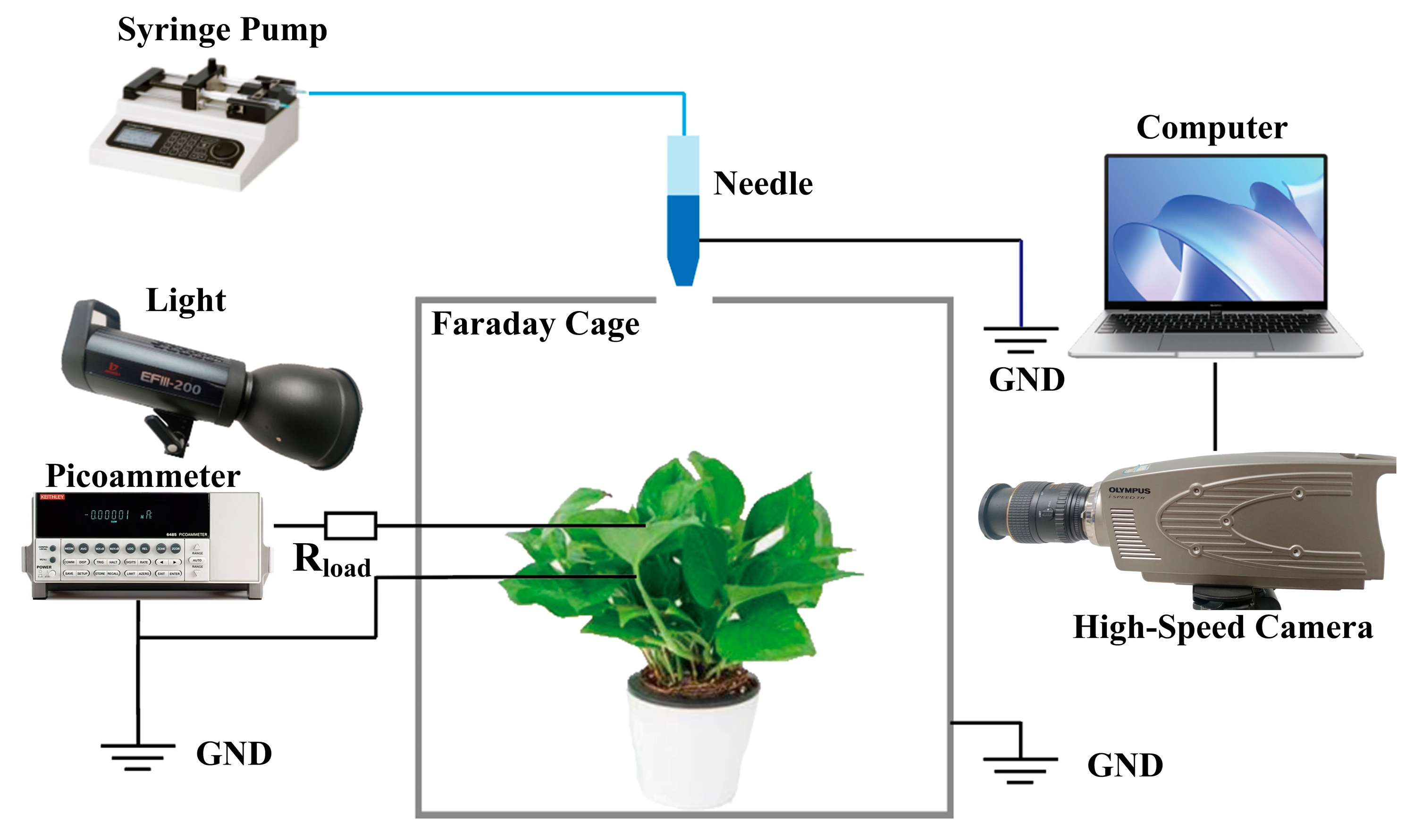 Agronomy 14 00573 g001