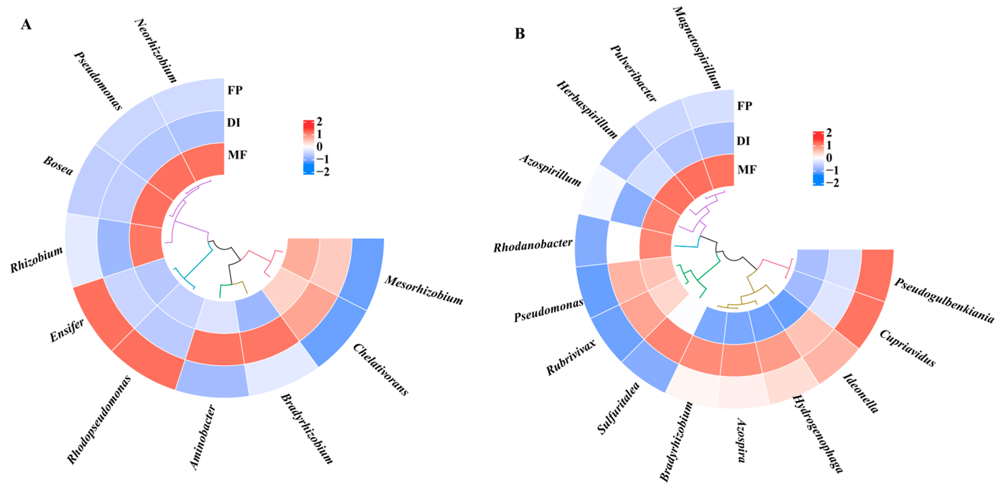 Agronomy 14 00577 g004