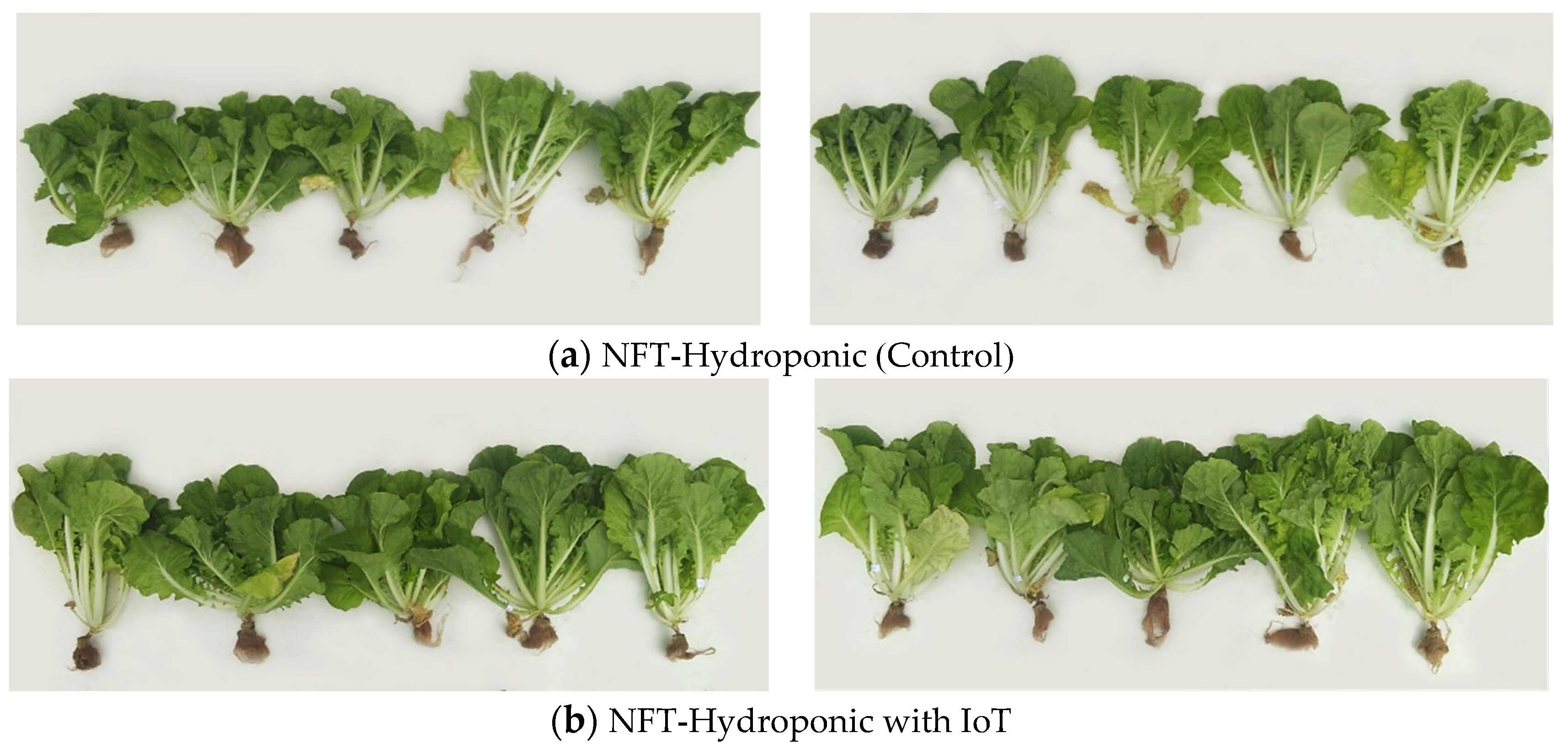 Agronomy 14 00579 g018