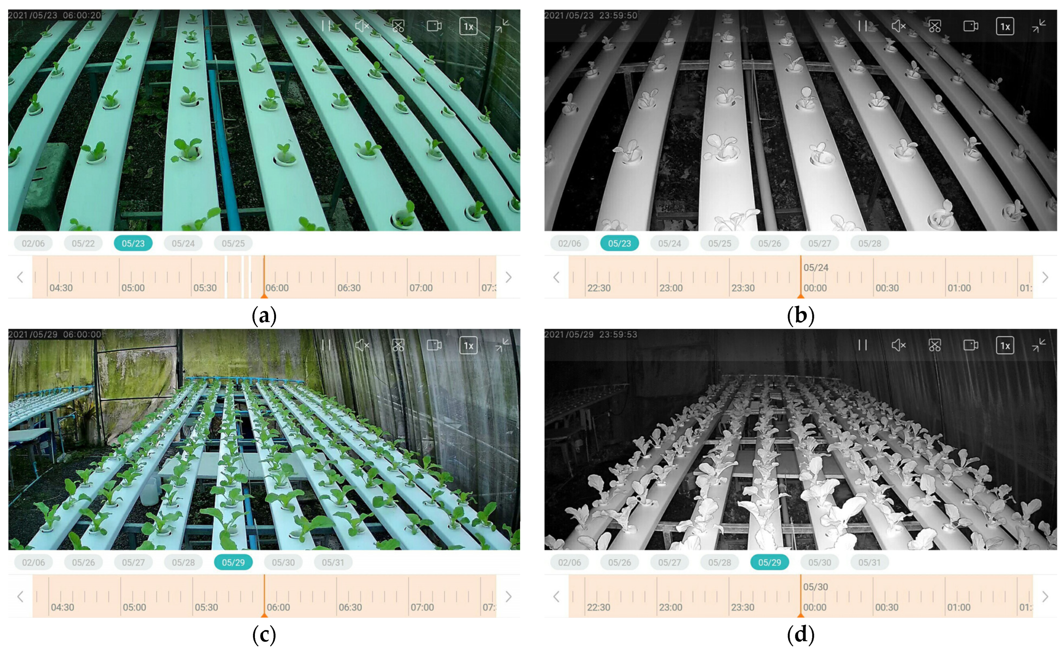 Agronomy 14 00579 g019