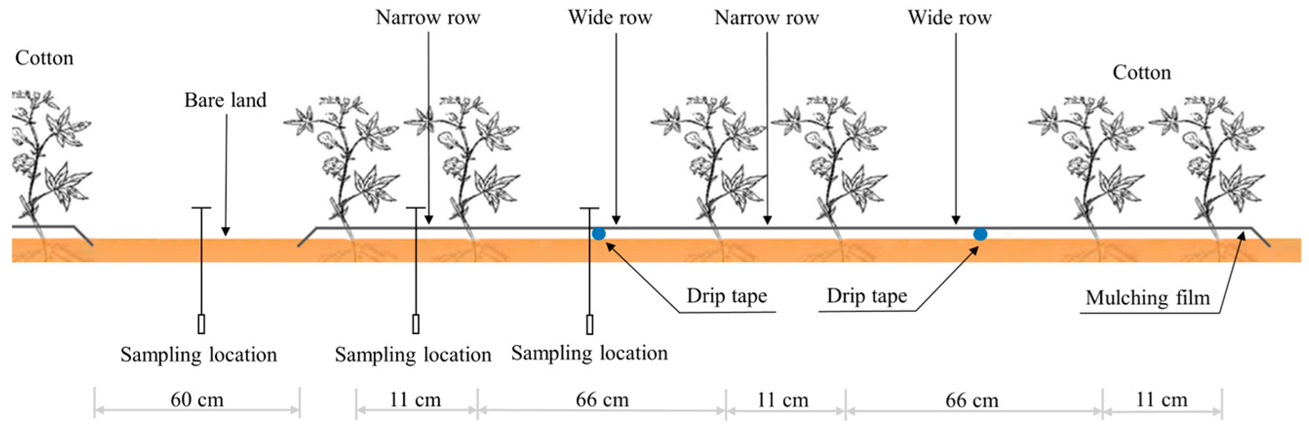 Agronomy 14 00599 g001