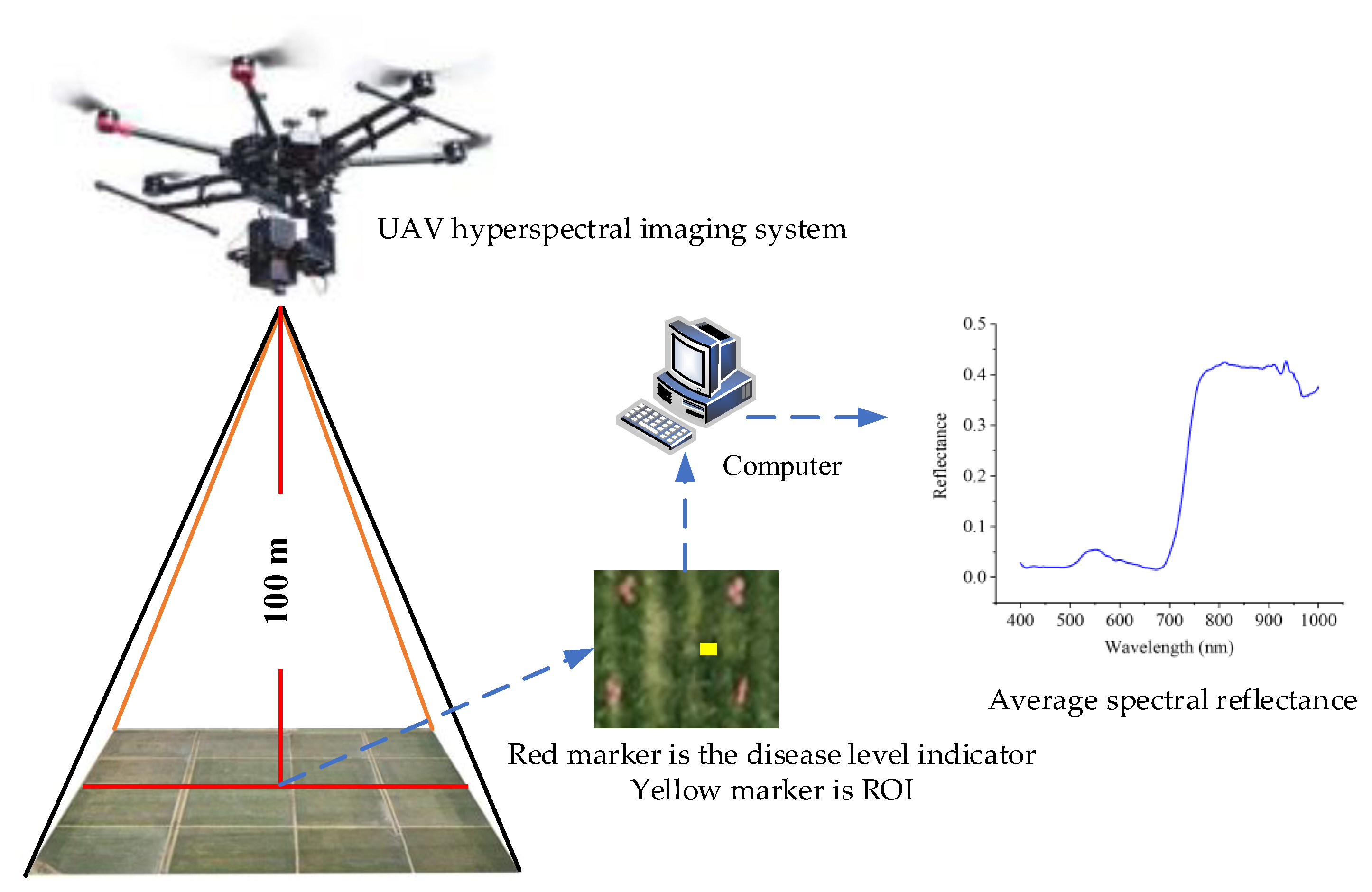 Agronomy 14 00602 g002