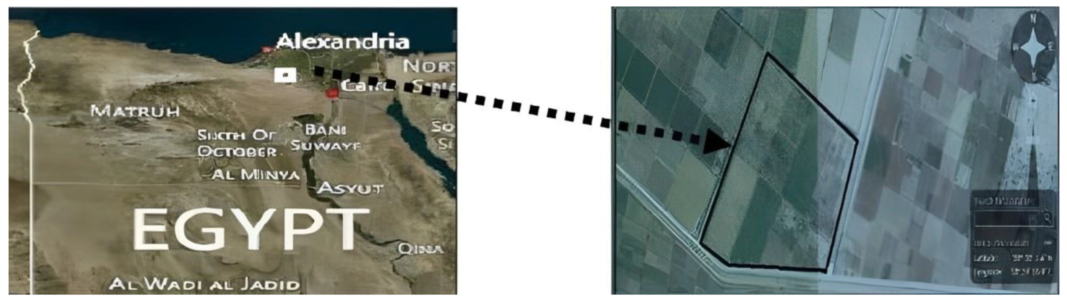 Agronomy 14 00611 g001