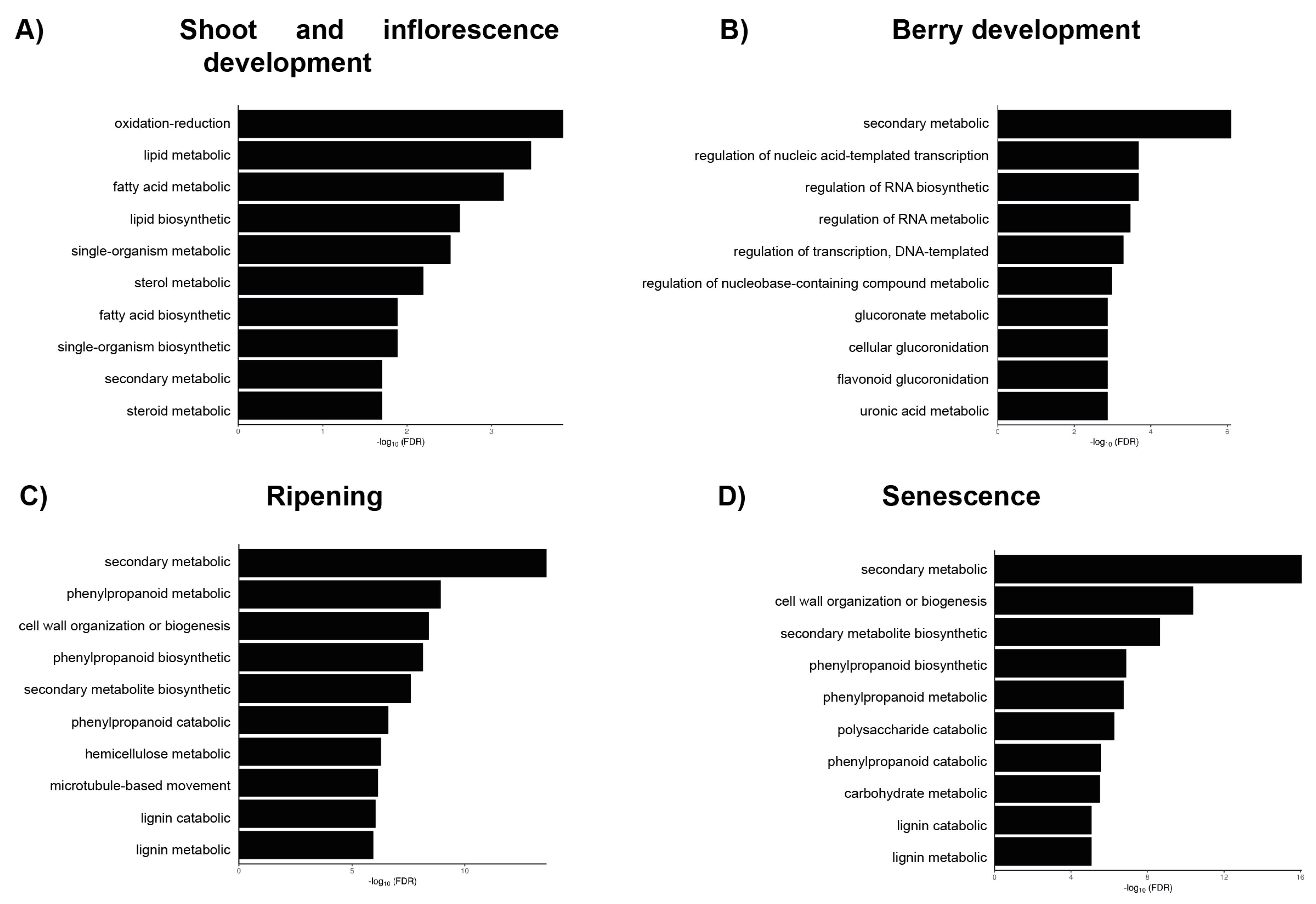 Agronomy 14 00613 g004