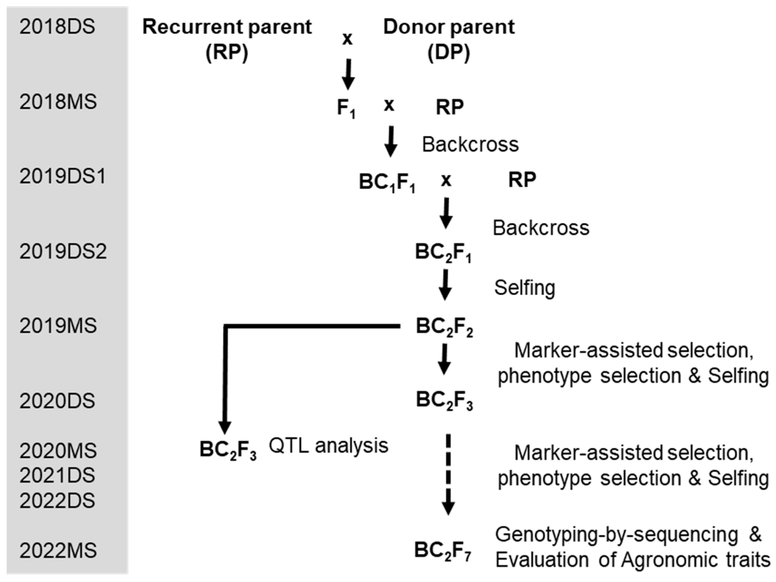 Agronomy 14 00632 g002