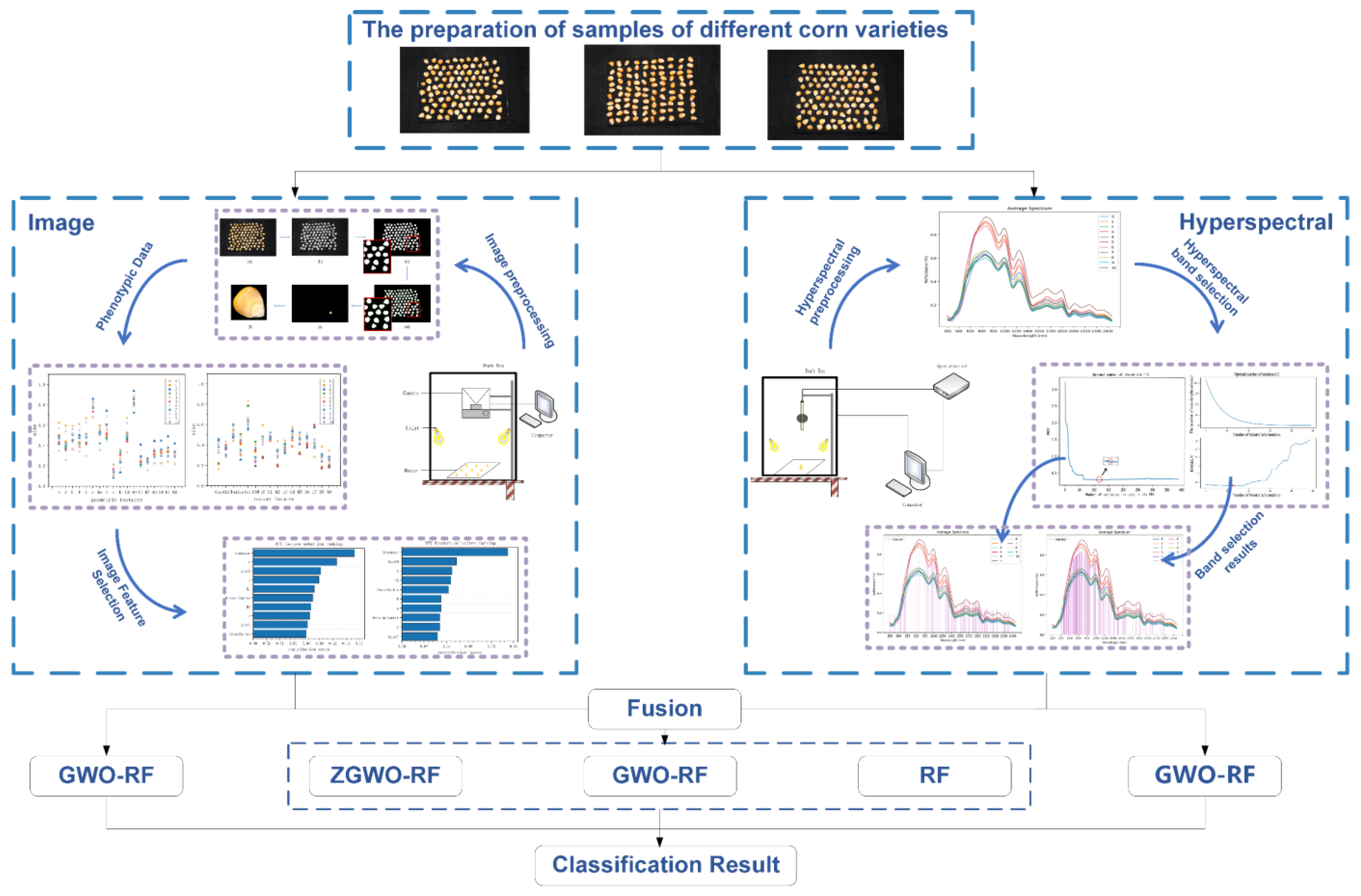 Agronomy 14 00645 g004