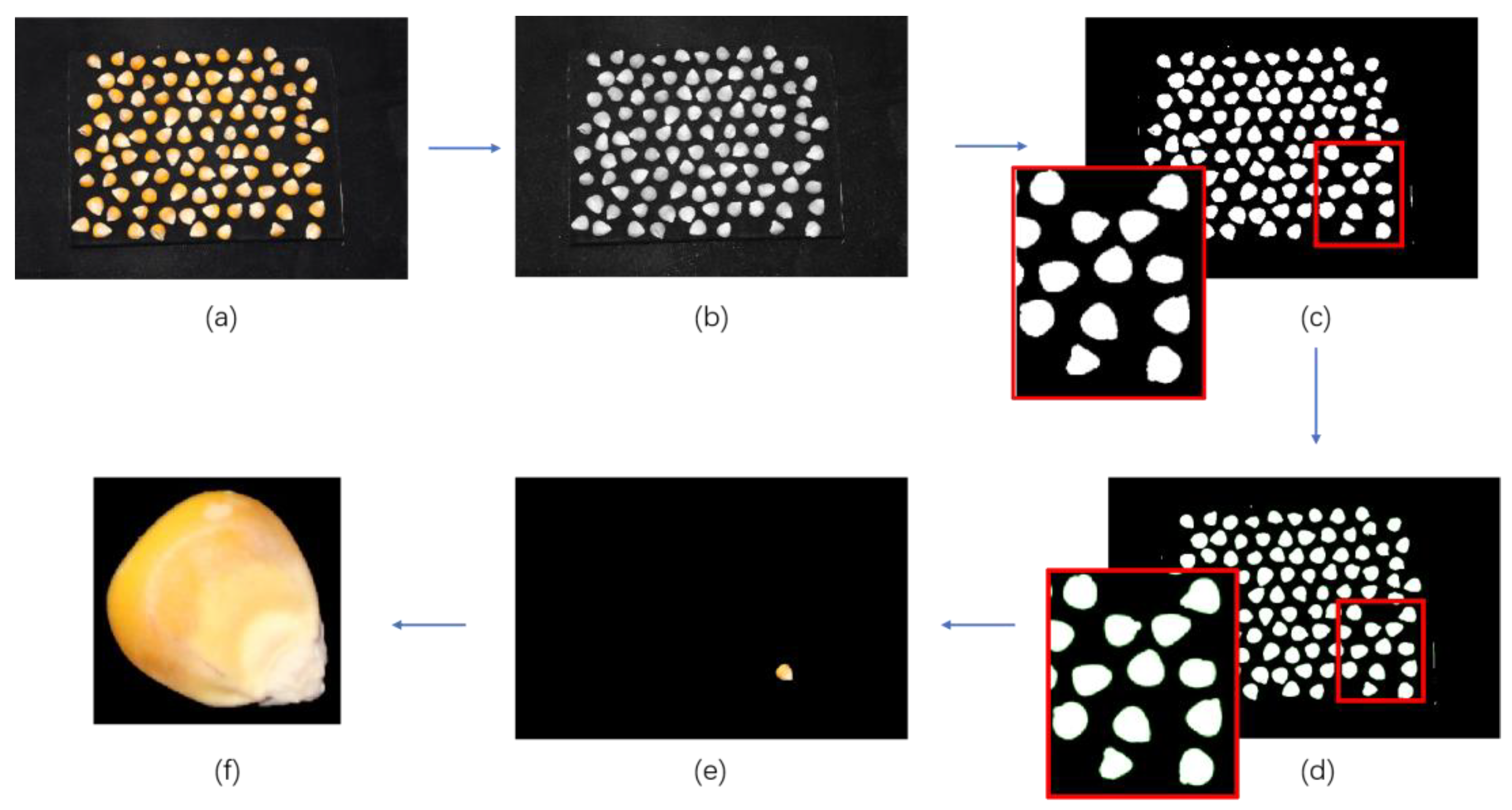 Agronomy 14 00645 g005