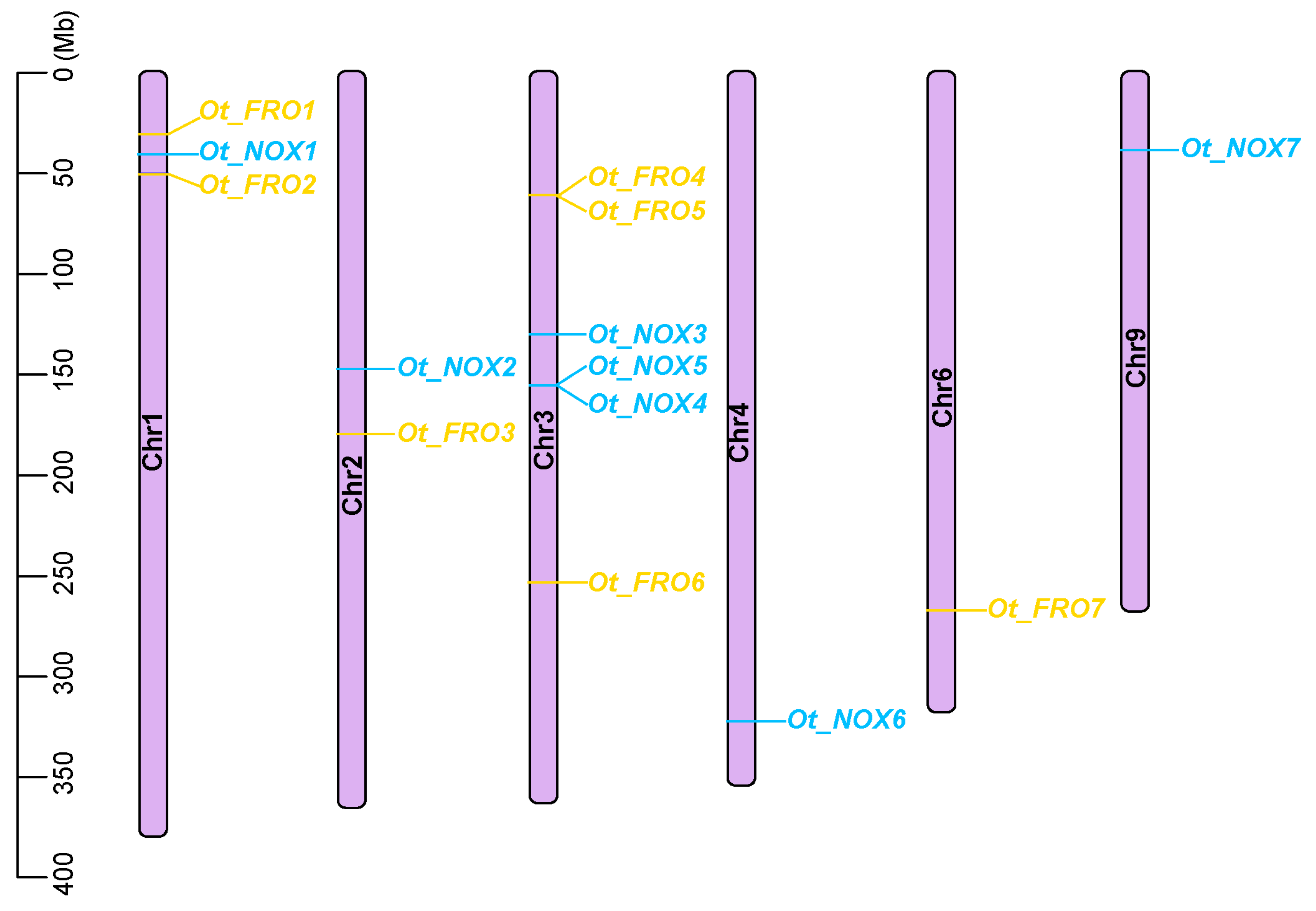 Agronomy 14 00653 g001