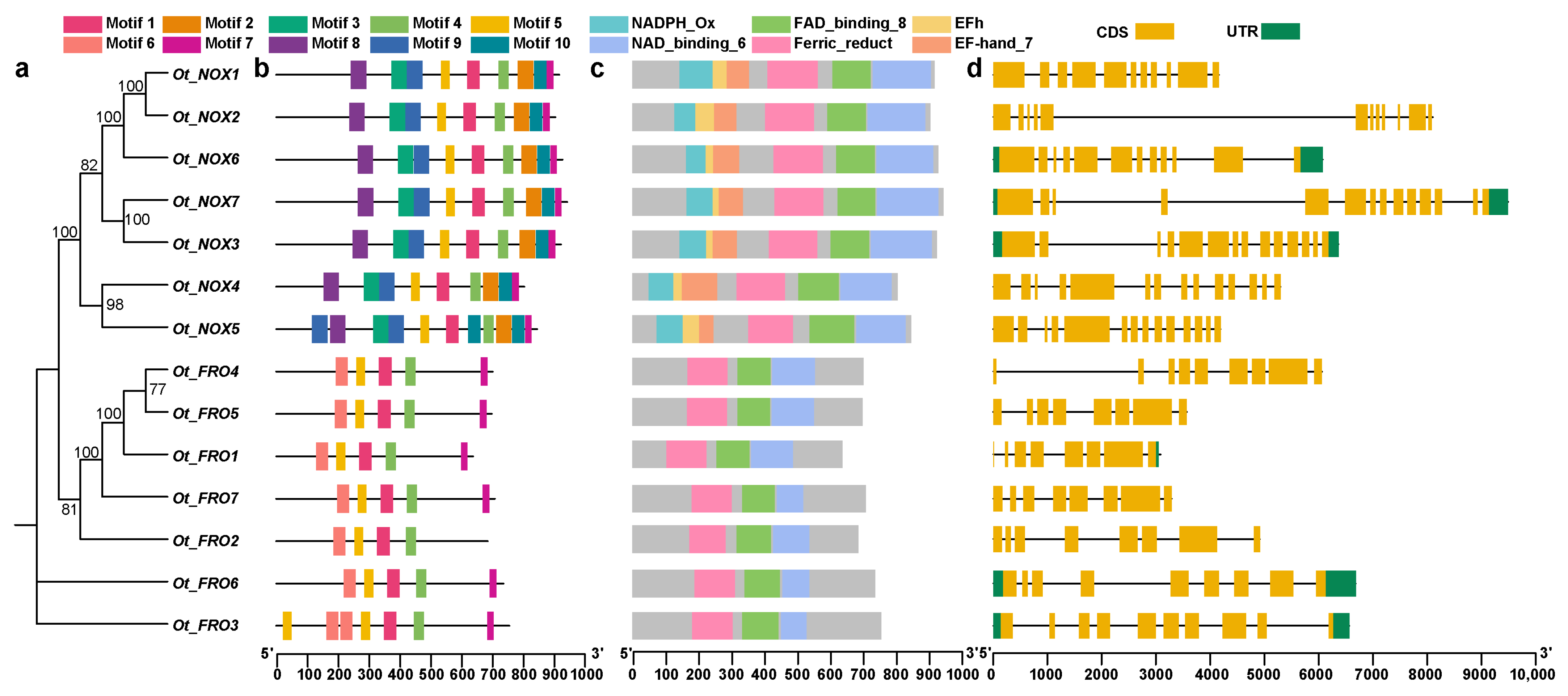 Agronomy 14 00653 g002