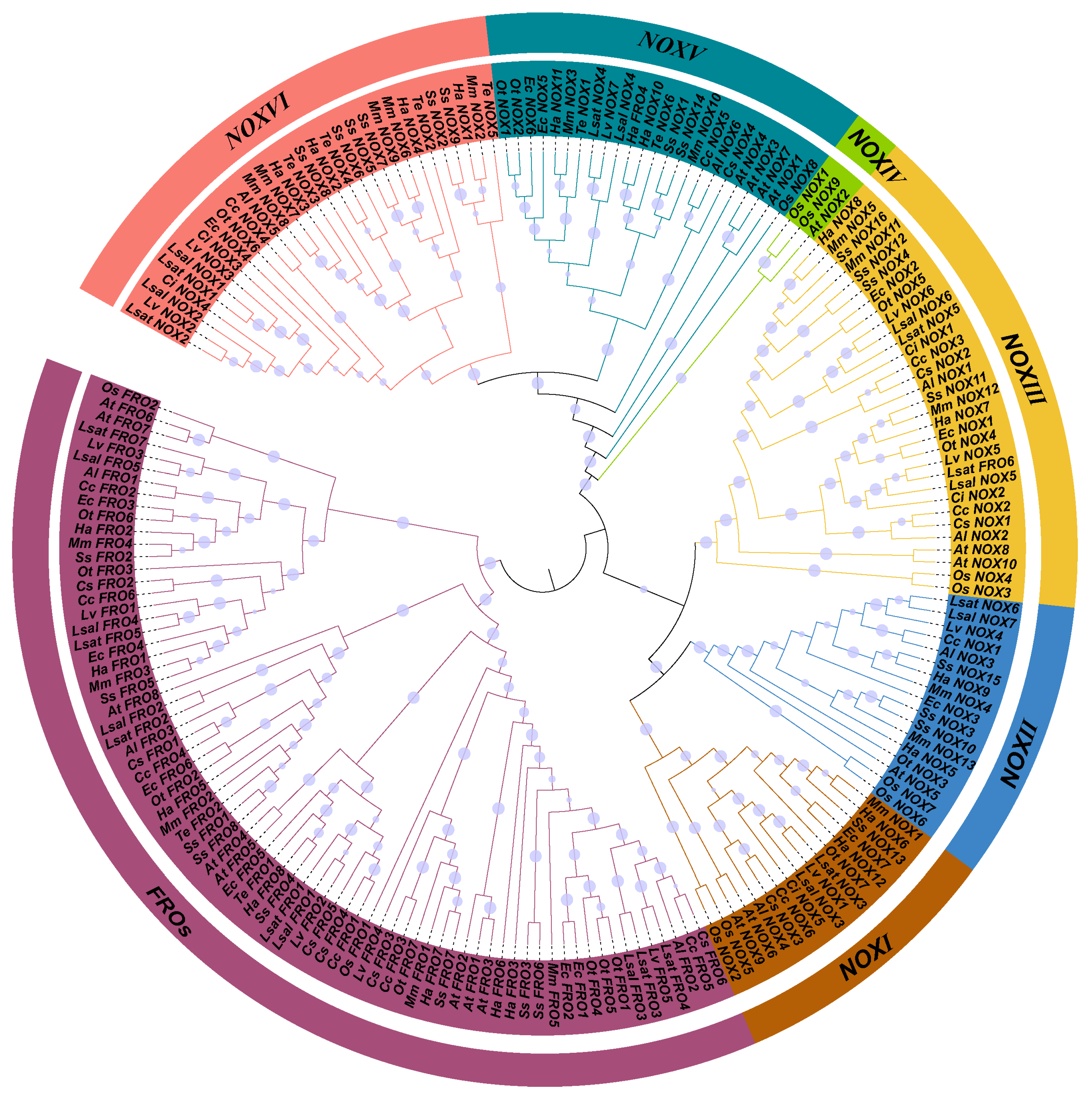 Agronomy 14 00653 g003
