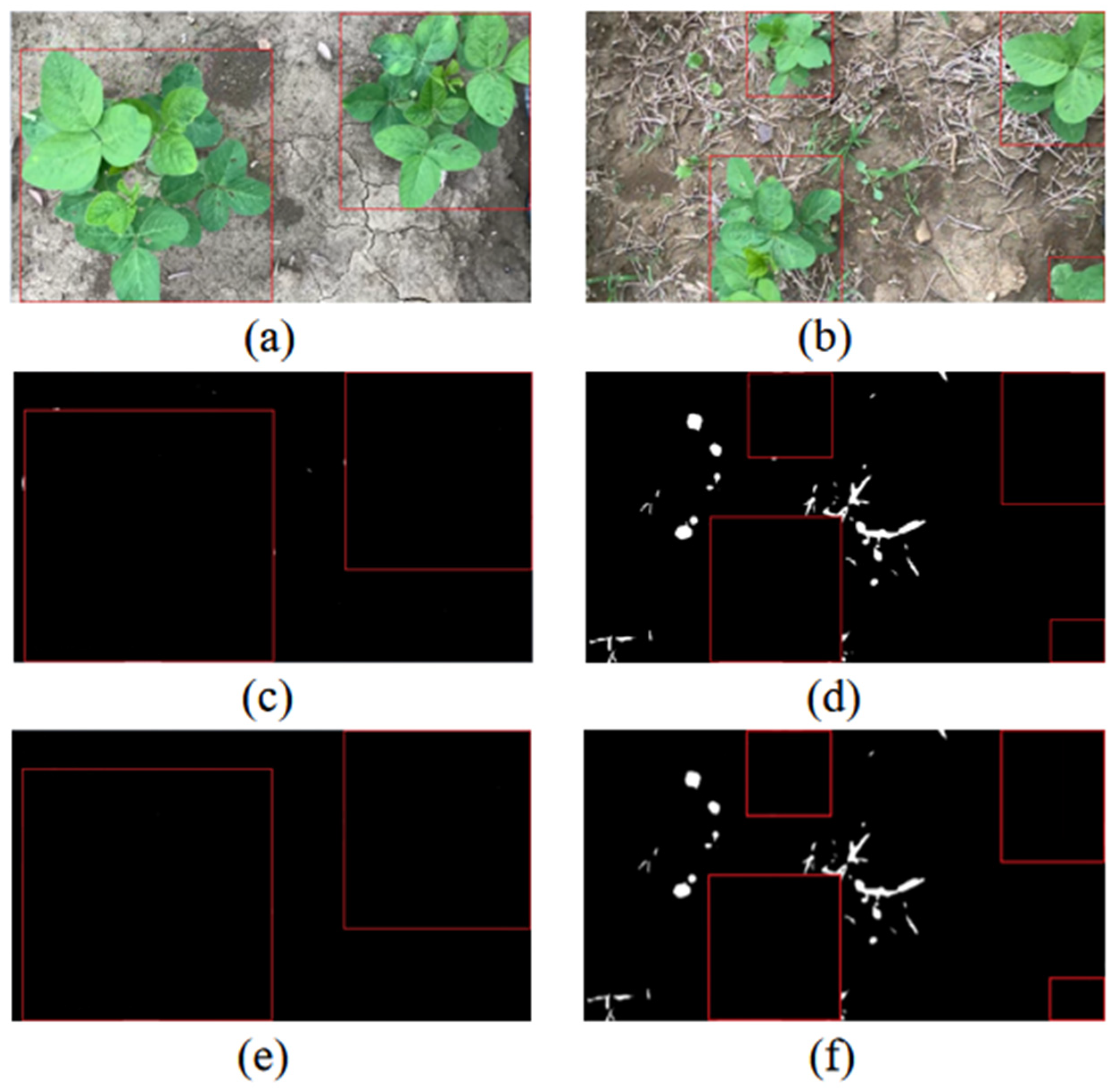 Agronomy 14 00657 g007