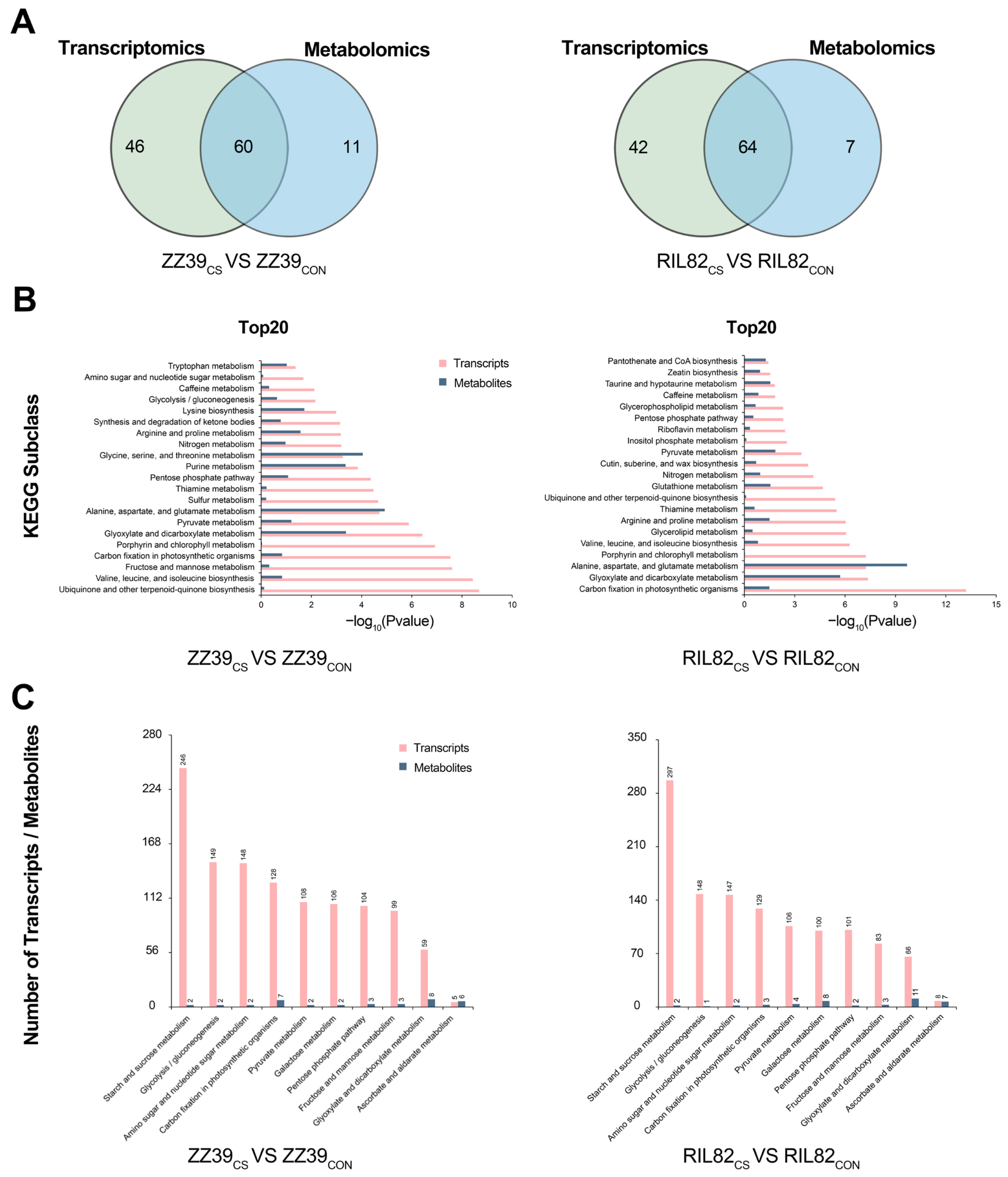 Agronomy 14 00659 g003