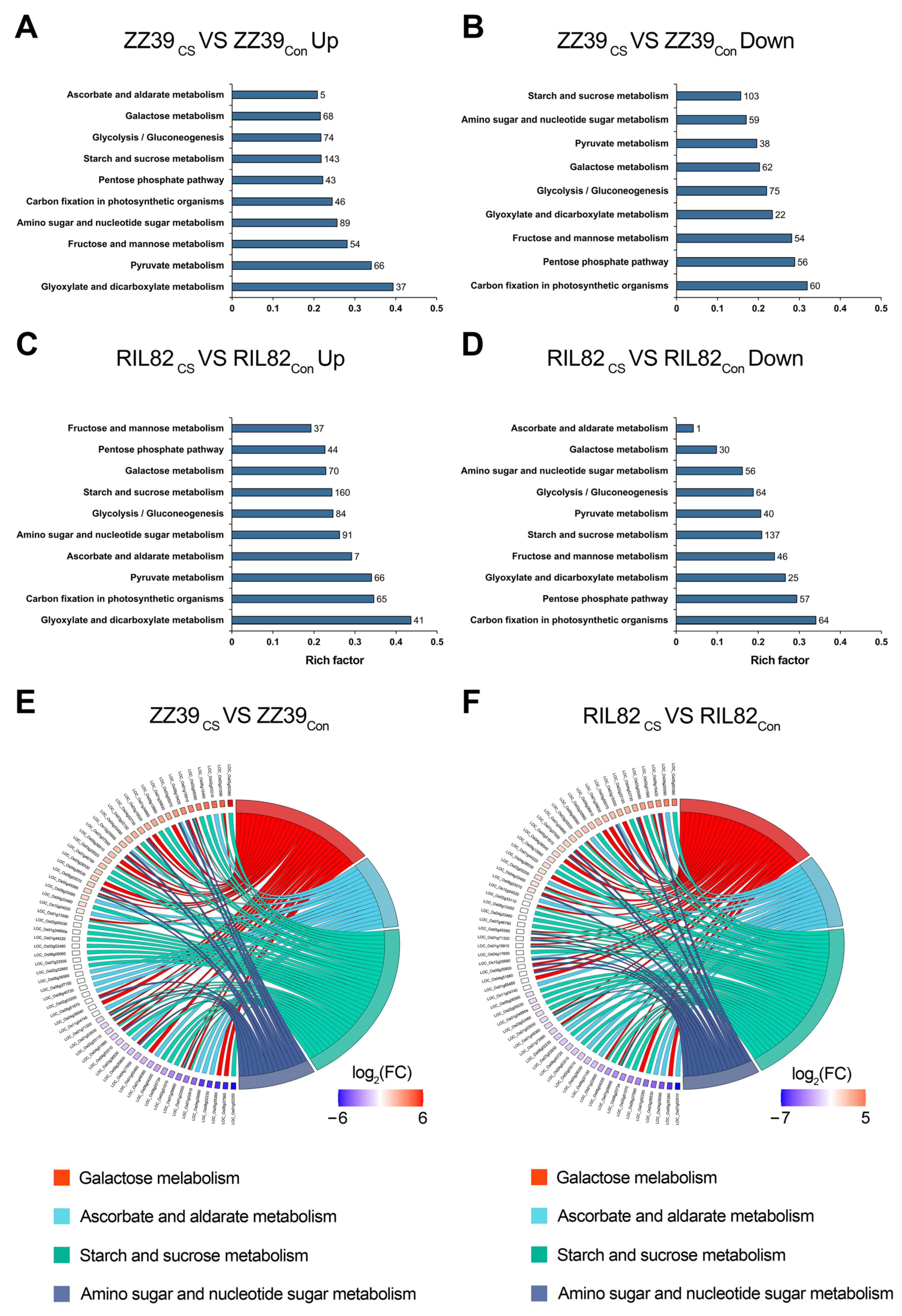Agronomy 14 00659 g004