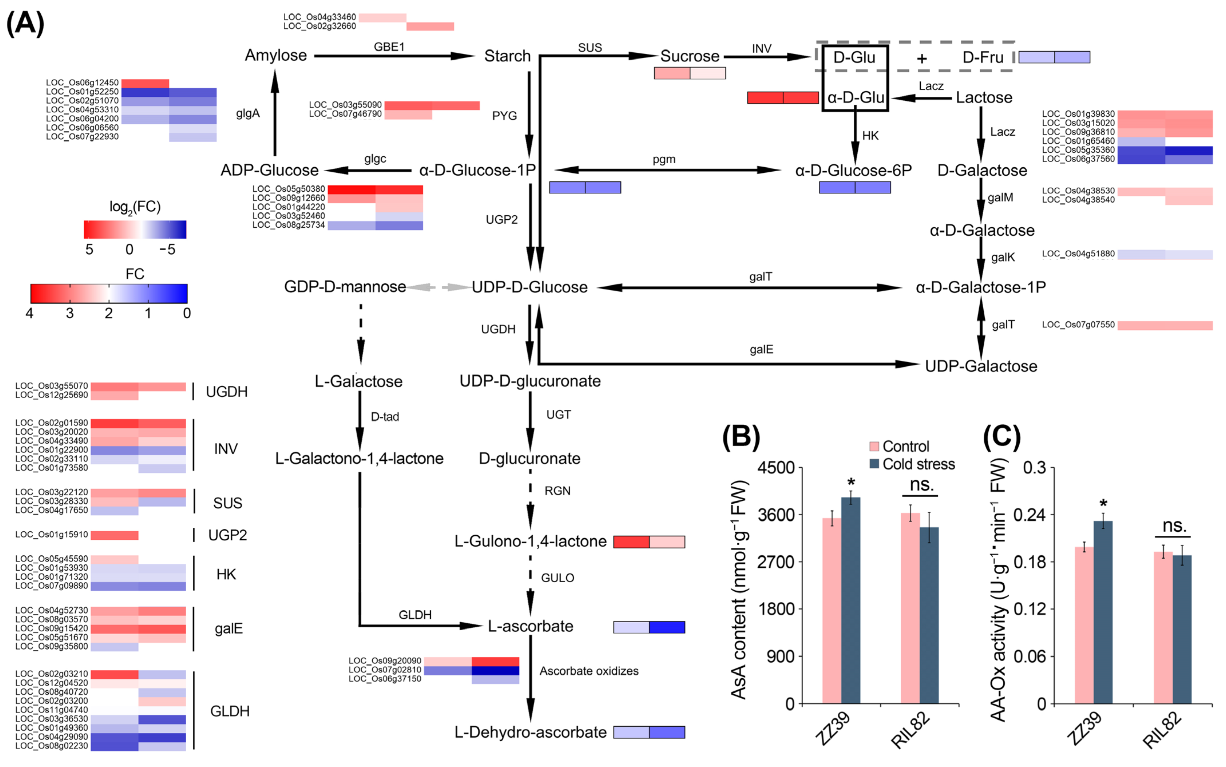 Agronomy 14 00659 g005