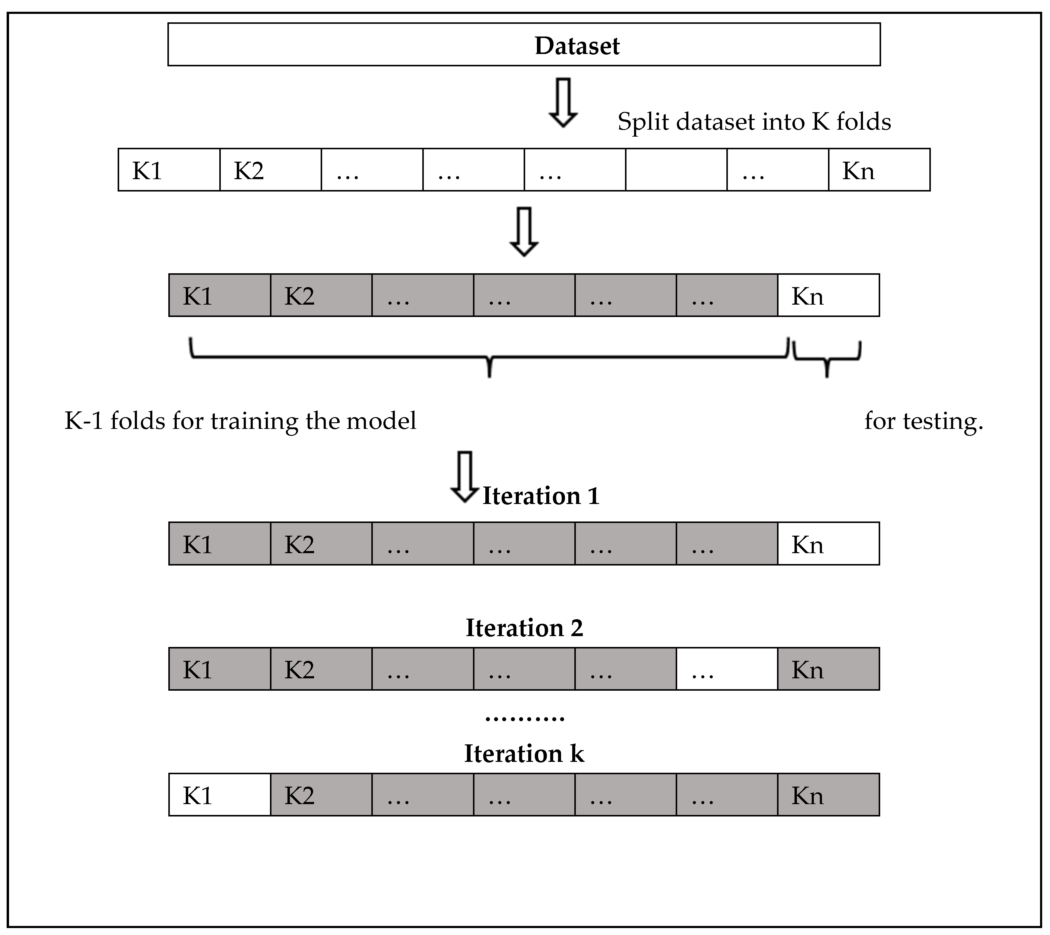 Agronomy 14 00672 g005