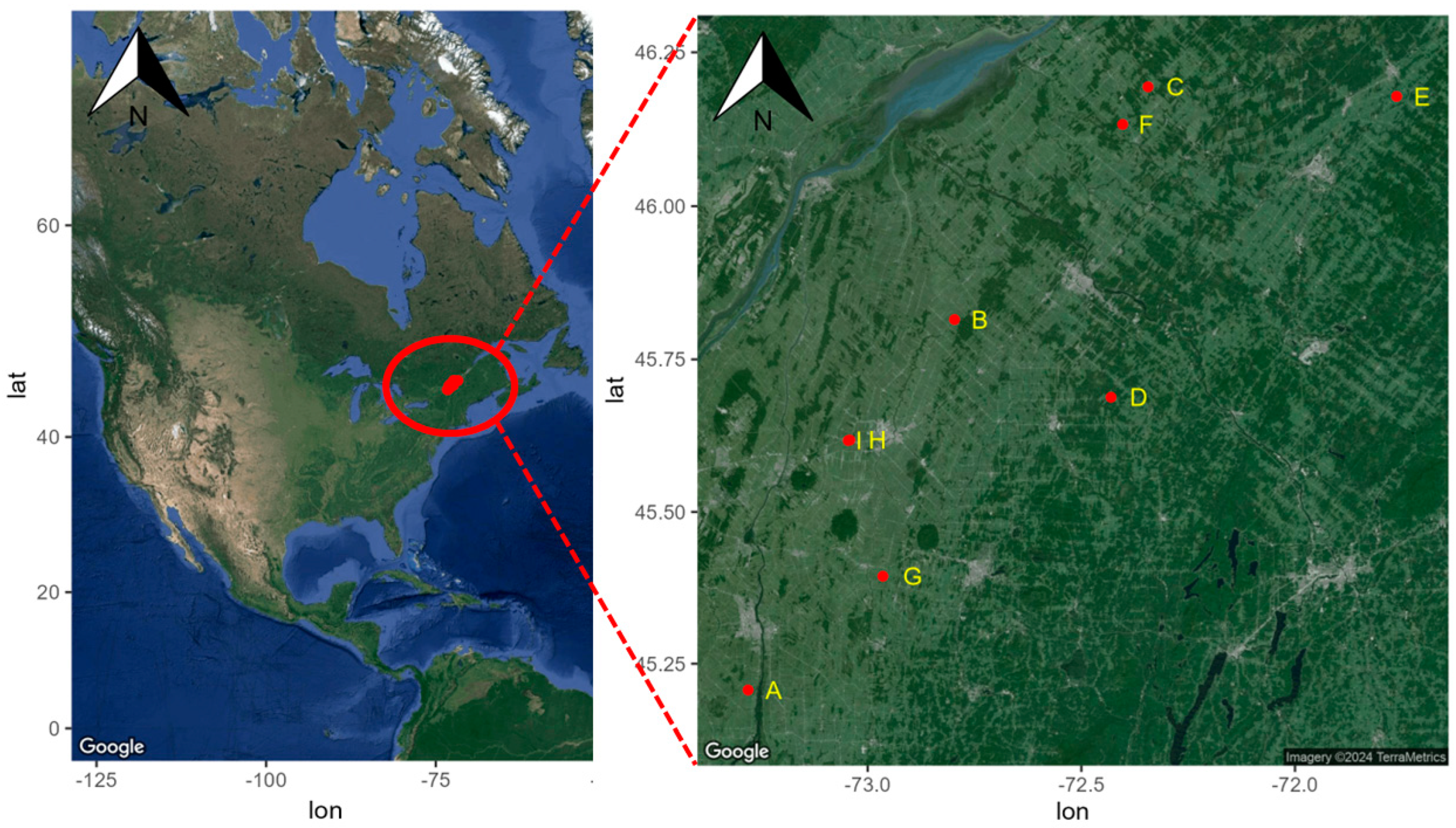 Agronomy 14 00686 g001