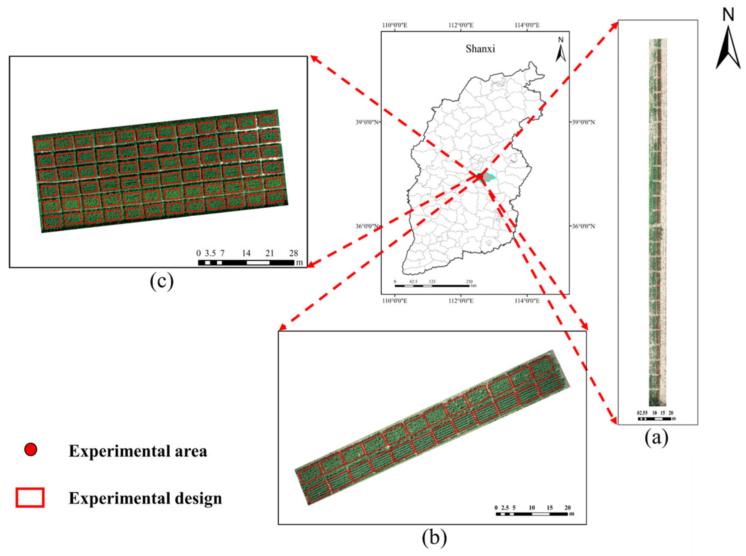 Agronomy 14 00701 g001