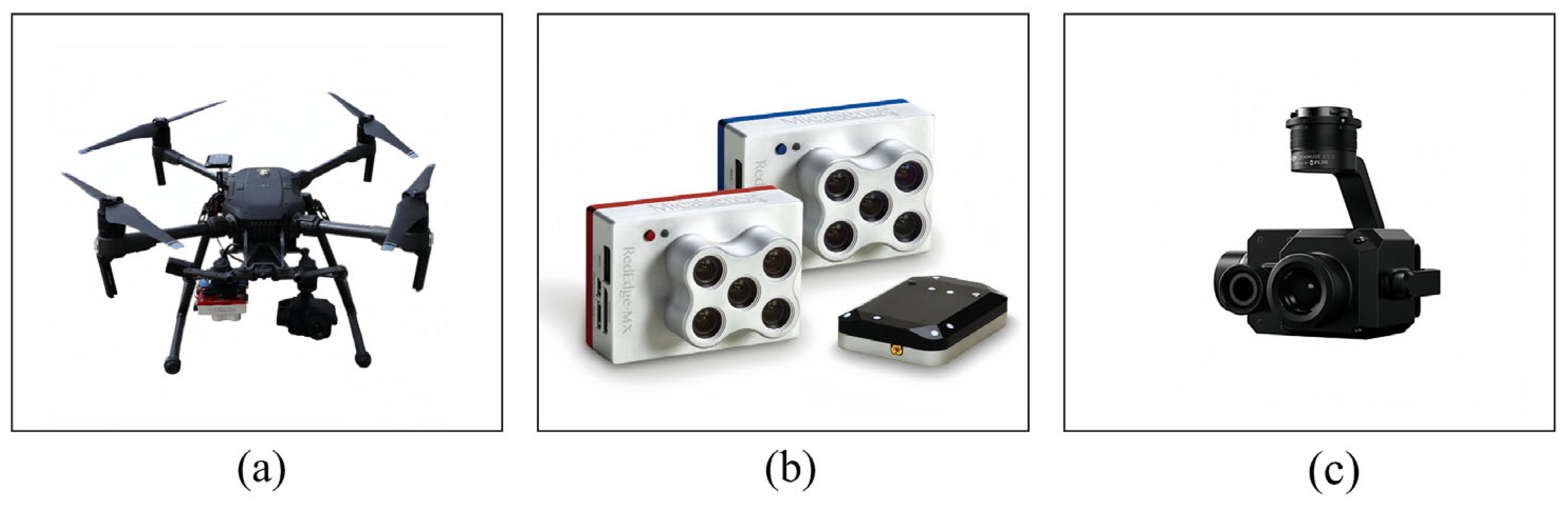 Agronomy 14 00701 g002