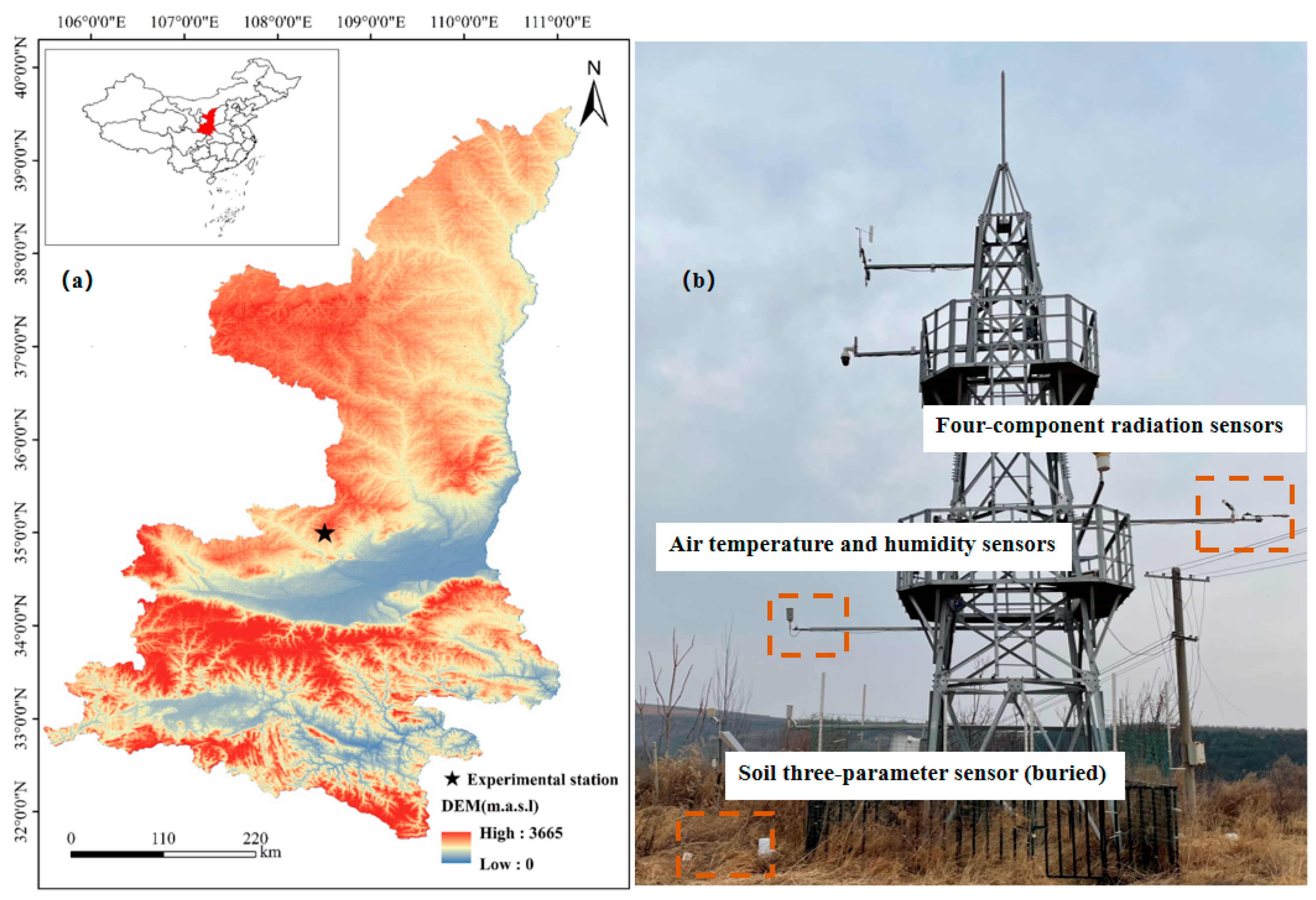 Agronomy 14 00703 g001