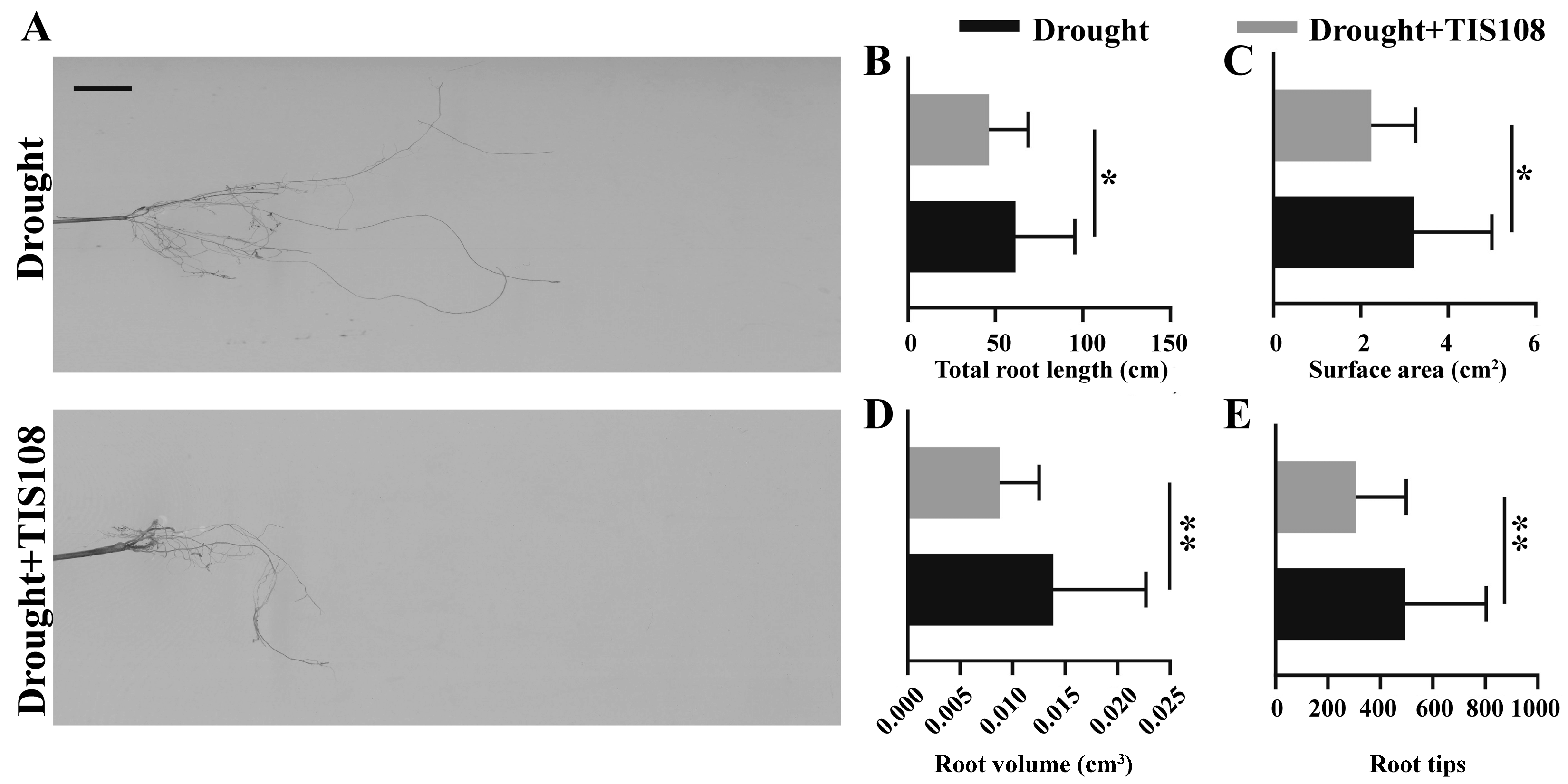 Agronomy 14 00725 g006