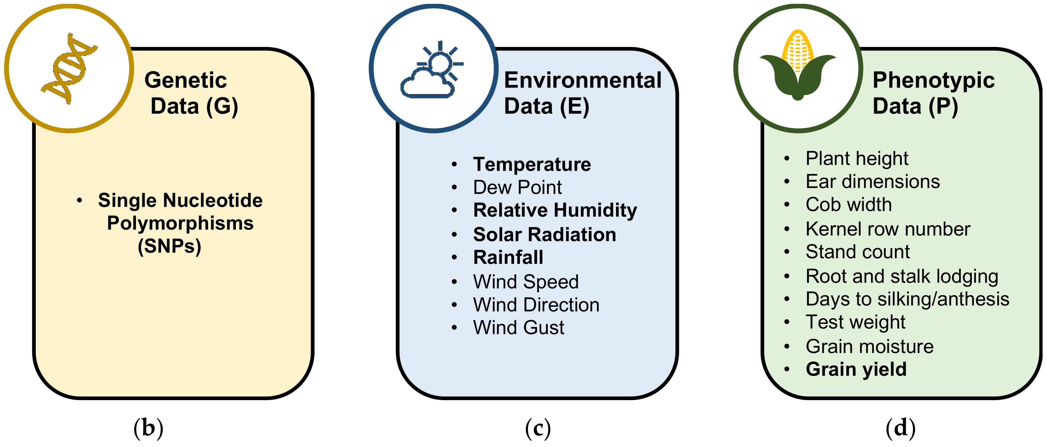 Agronomy 14 00733 g001b