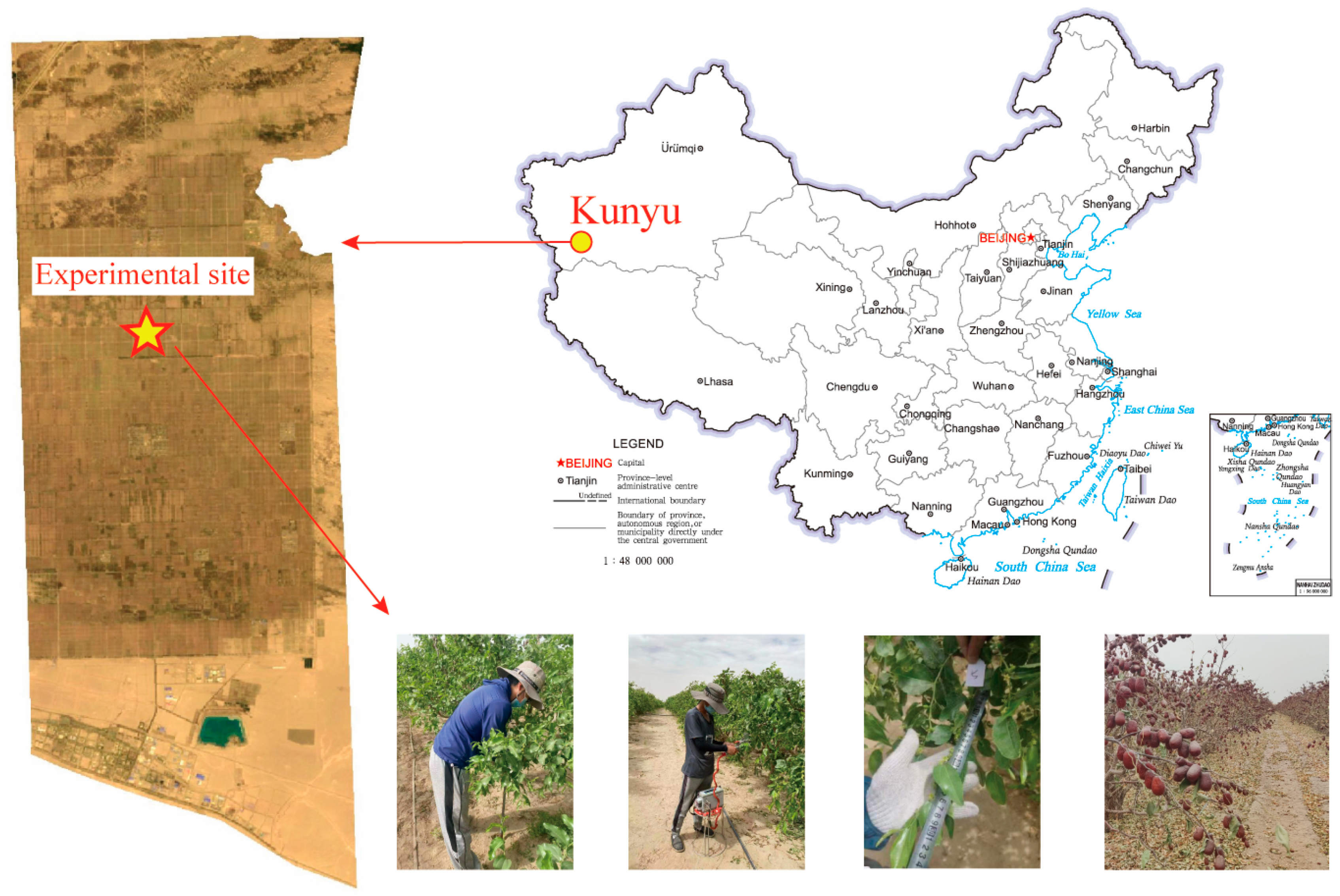 Agronomy 14 00741 g001 Agronomy 14 00741 g001