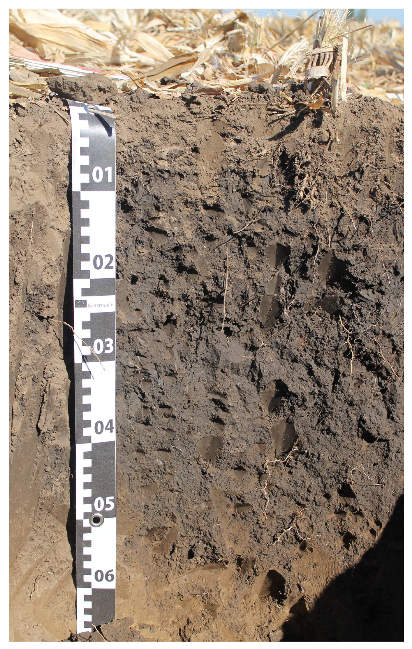 Agronomy 14 00745 g001