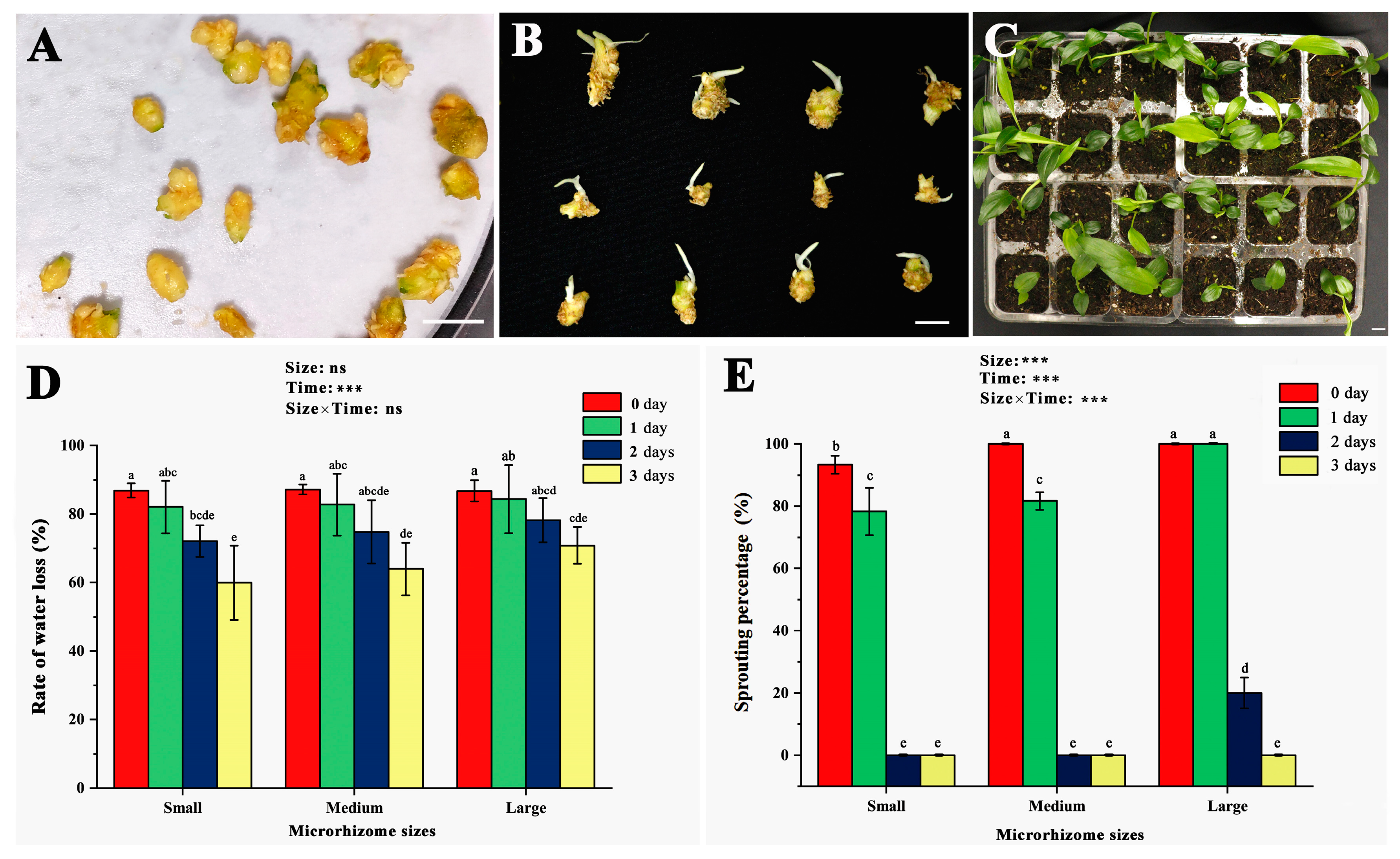 Agronomy 14 00747 g002 Agronomy 14 00747 g002