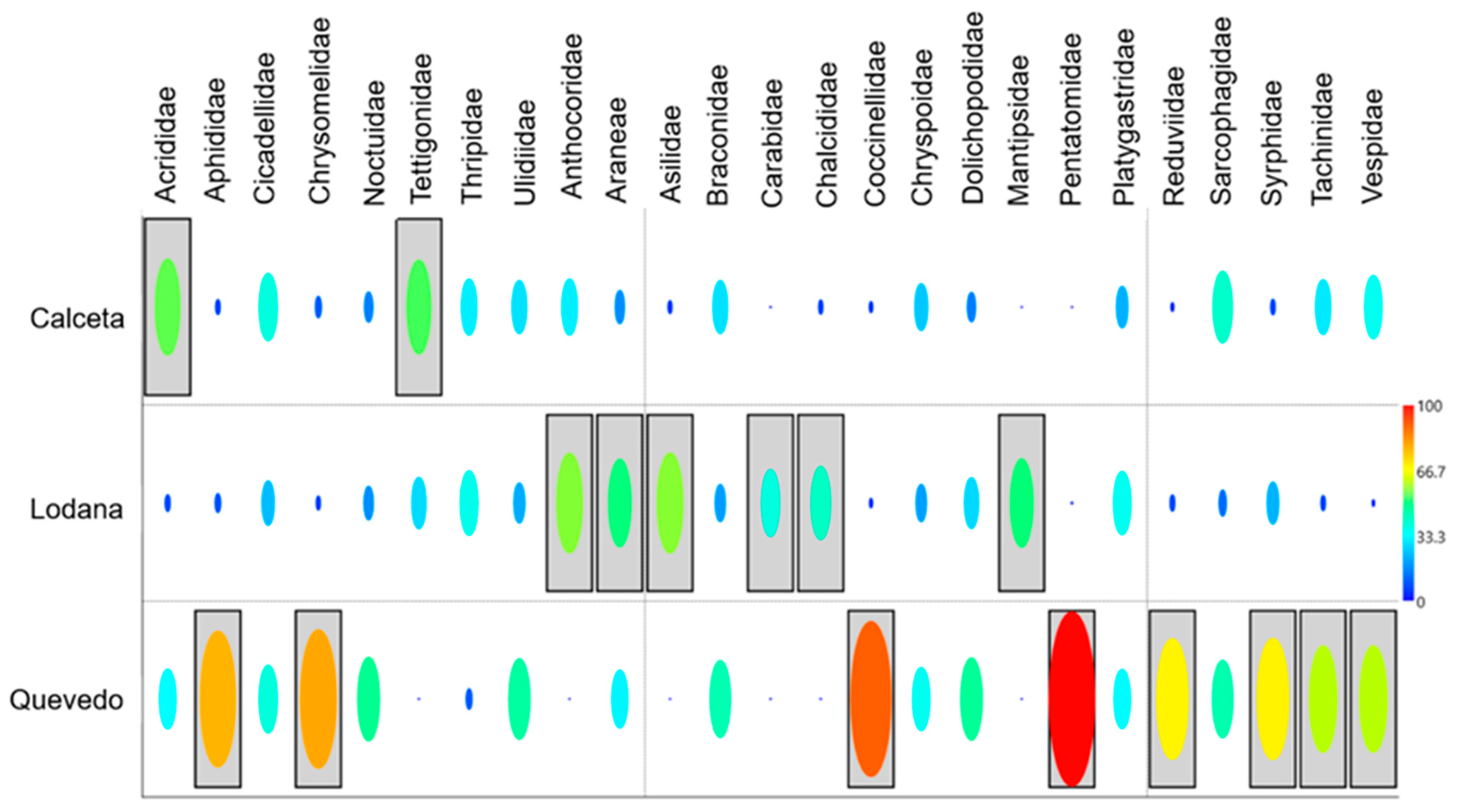 Agronomy 14 00748 g008