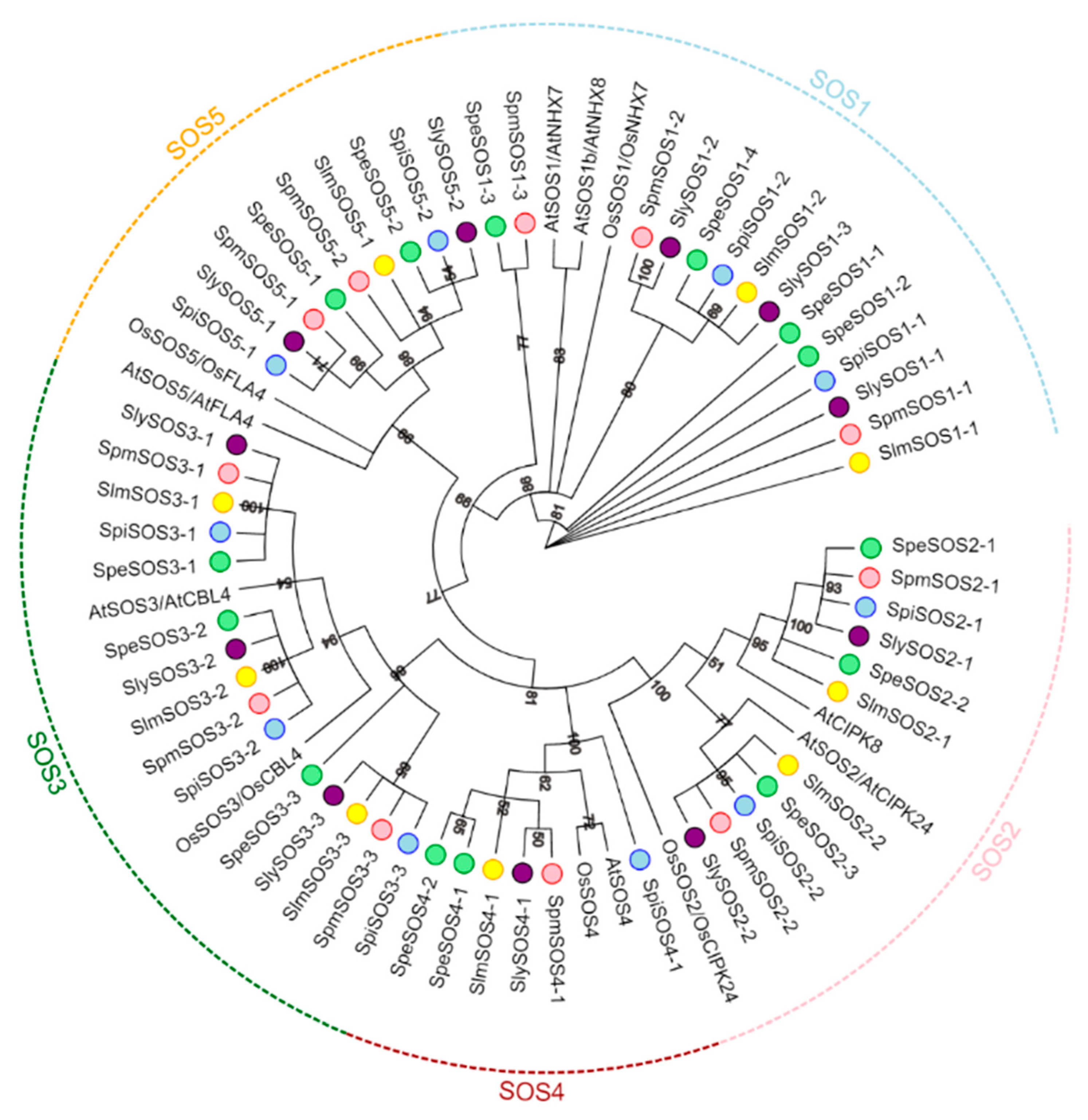 Agronomy 14 00773 g001
