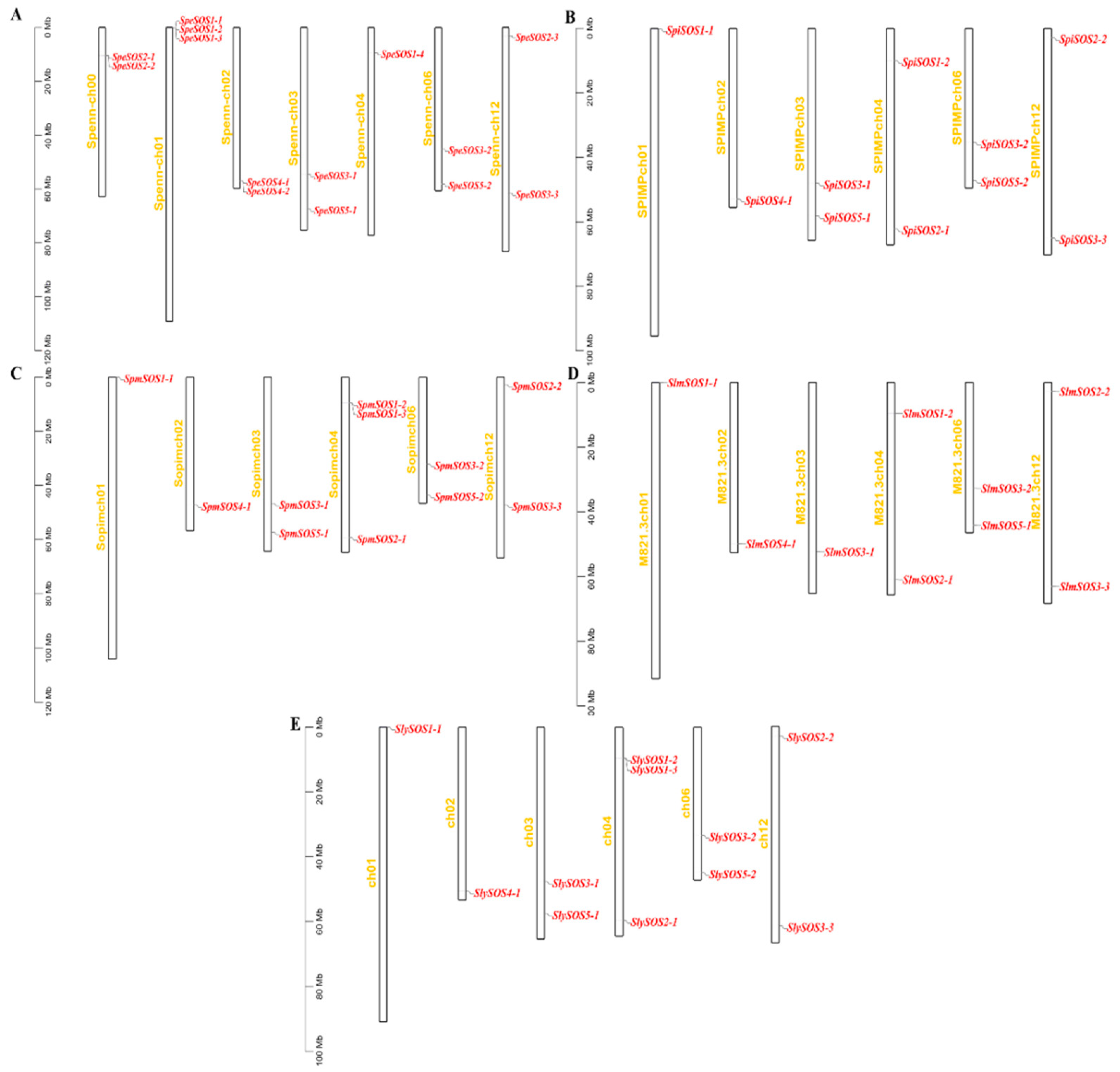 Agronomy 14 00773 g004