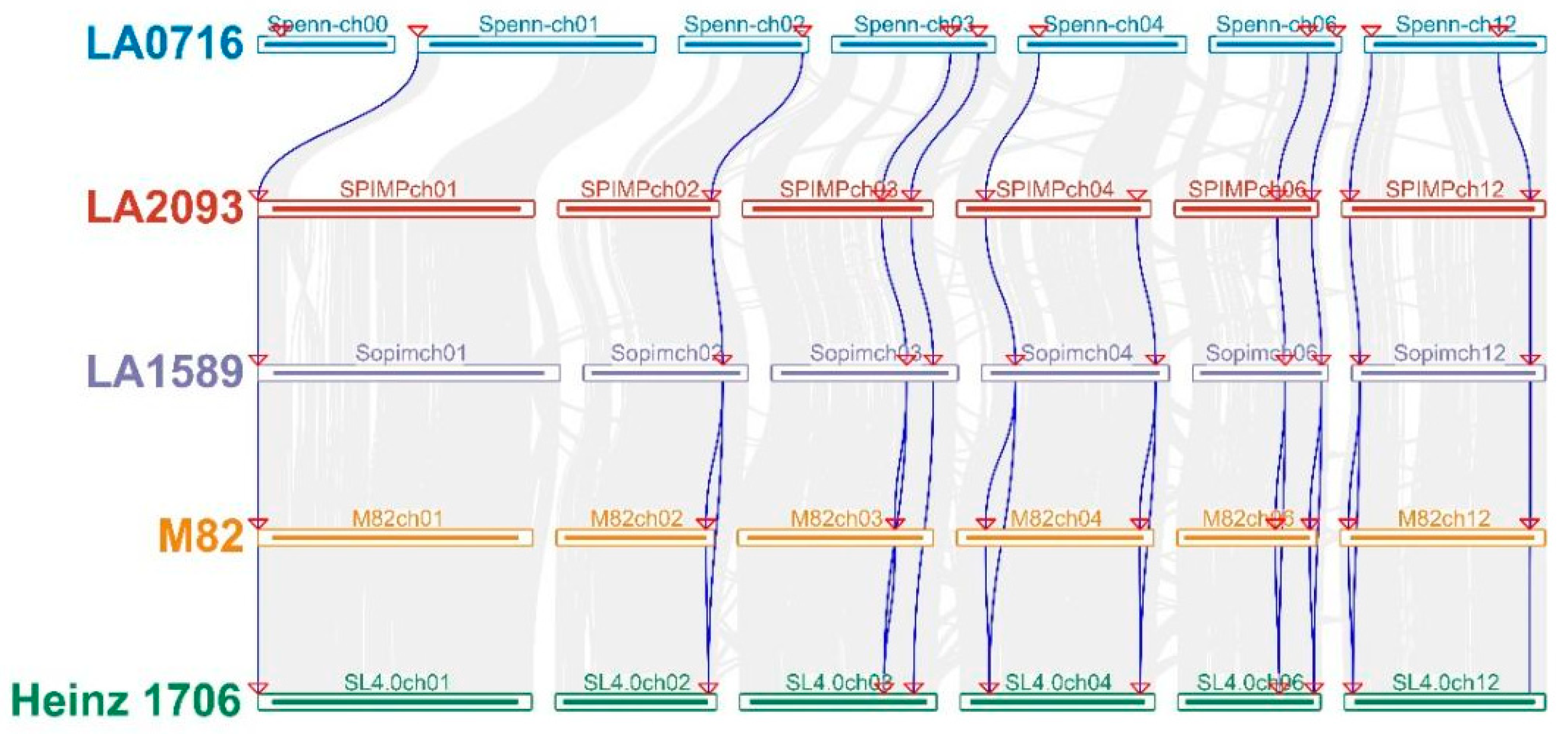 Agronomy 14 00773 g005