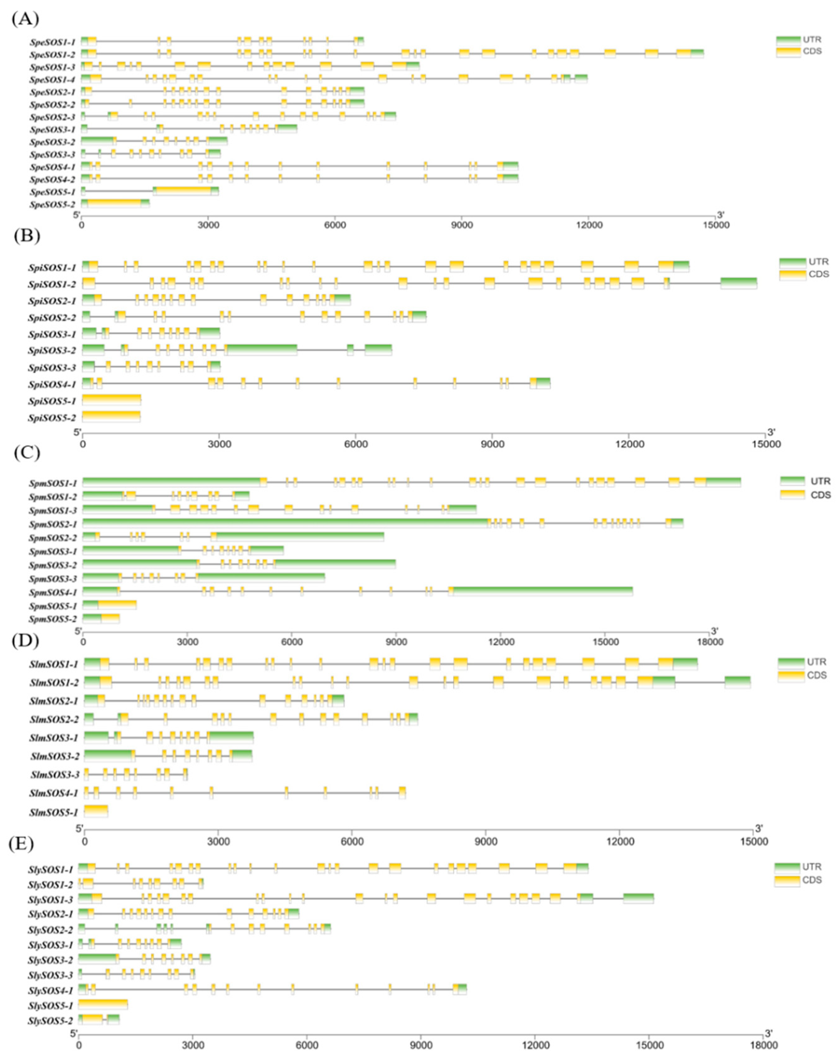 Agronomy 14 00773 g006