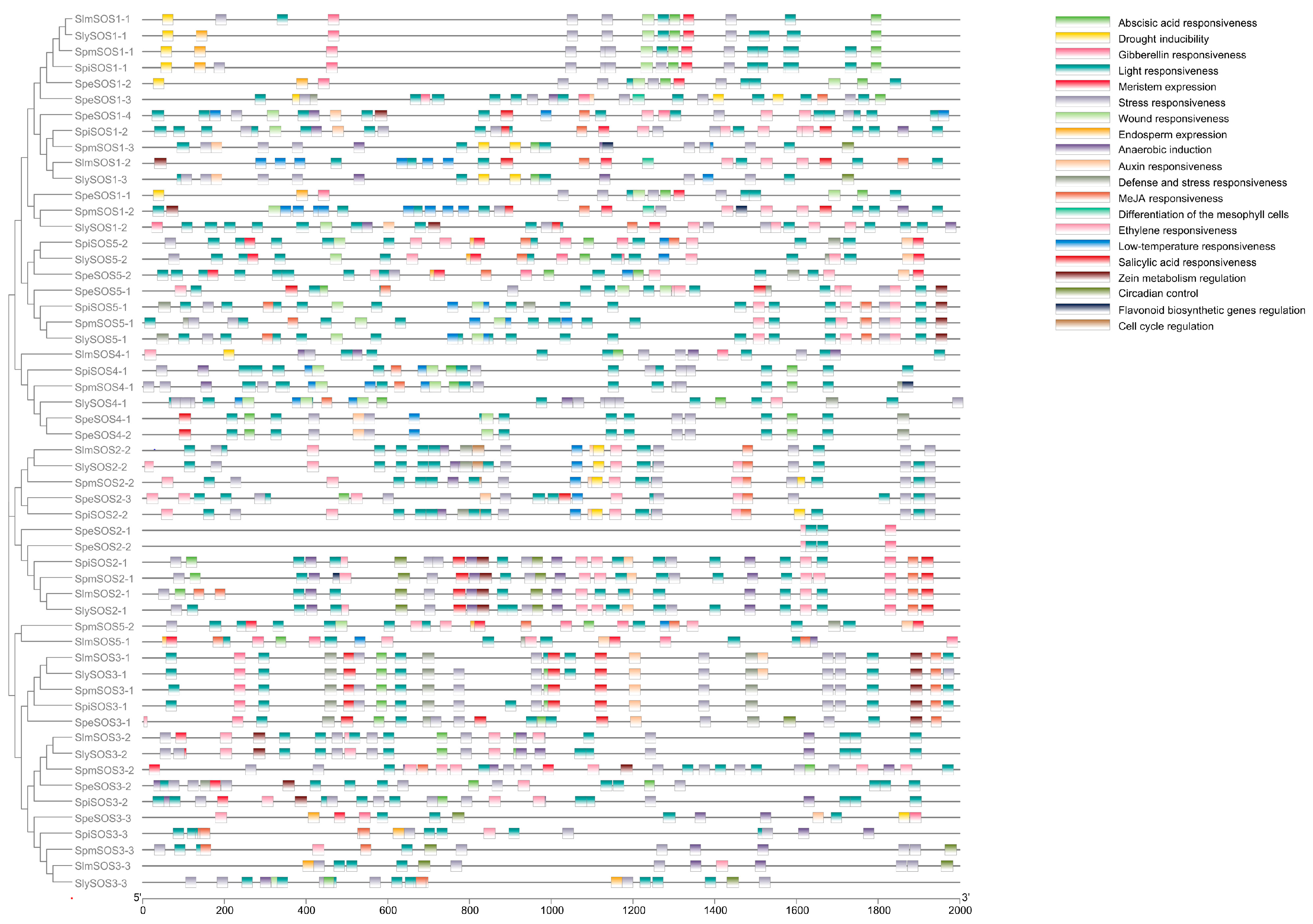 Agronomy 14 00773 g007