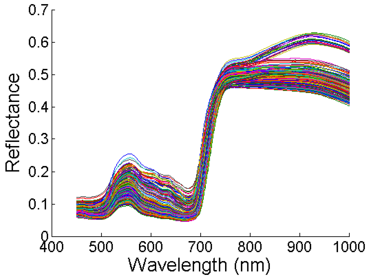 Agronomy 14 00806 g004