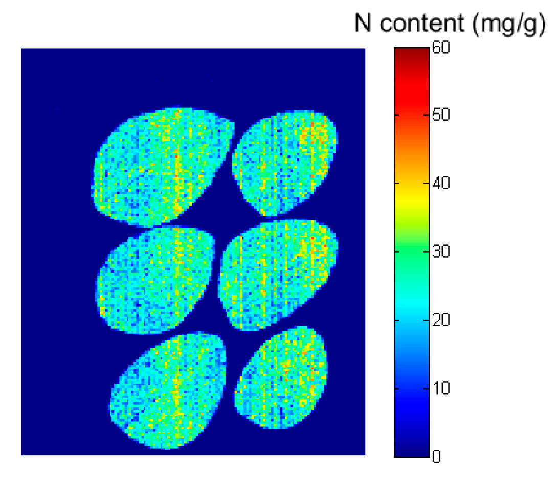 Agronomy 14 00806 g011