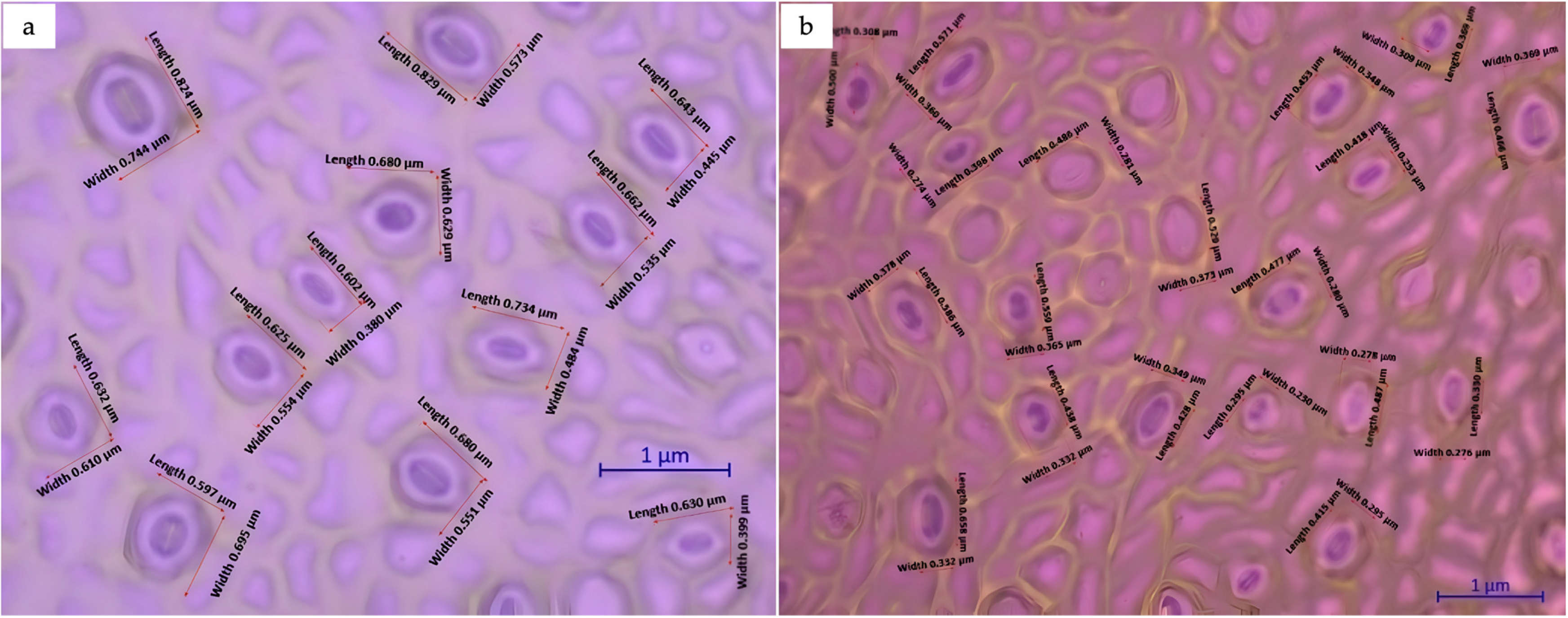 Agronomy 14 00829 g010