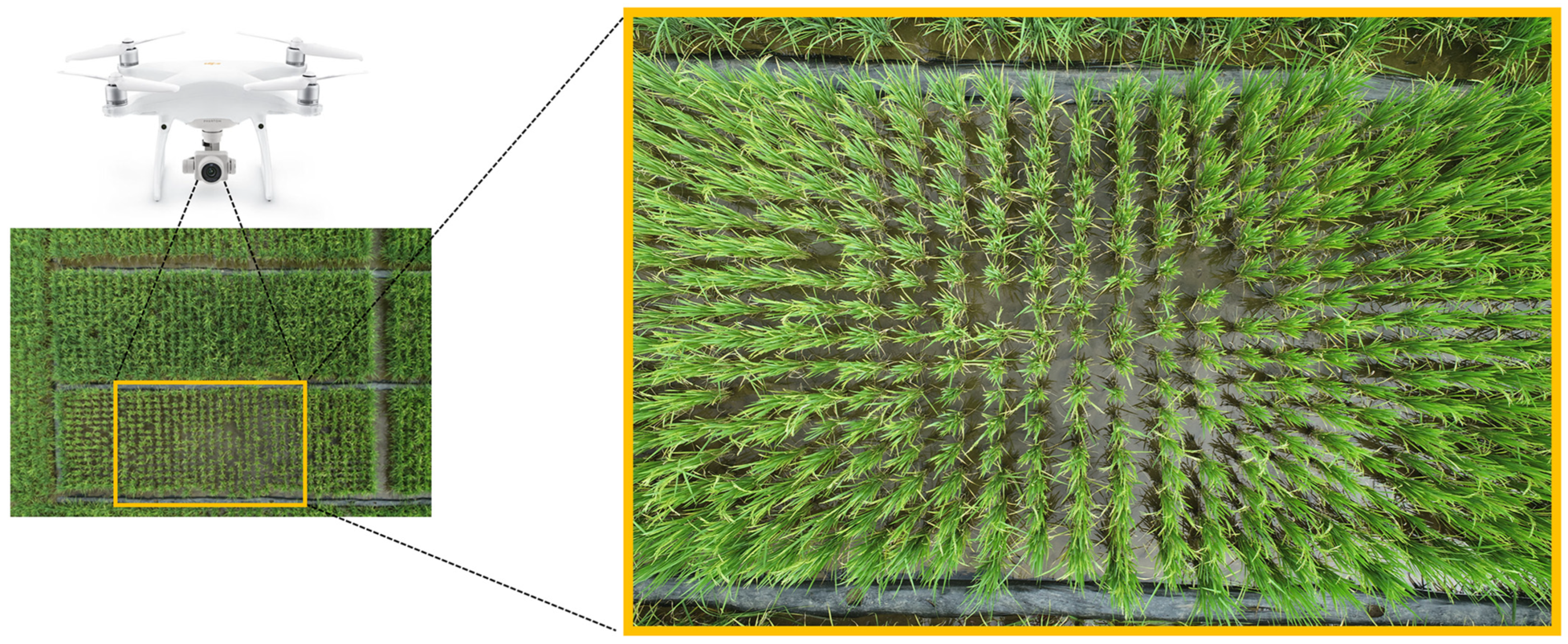 Agronomy 14 00836 g002