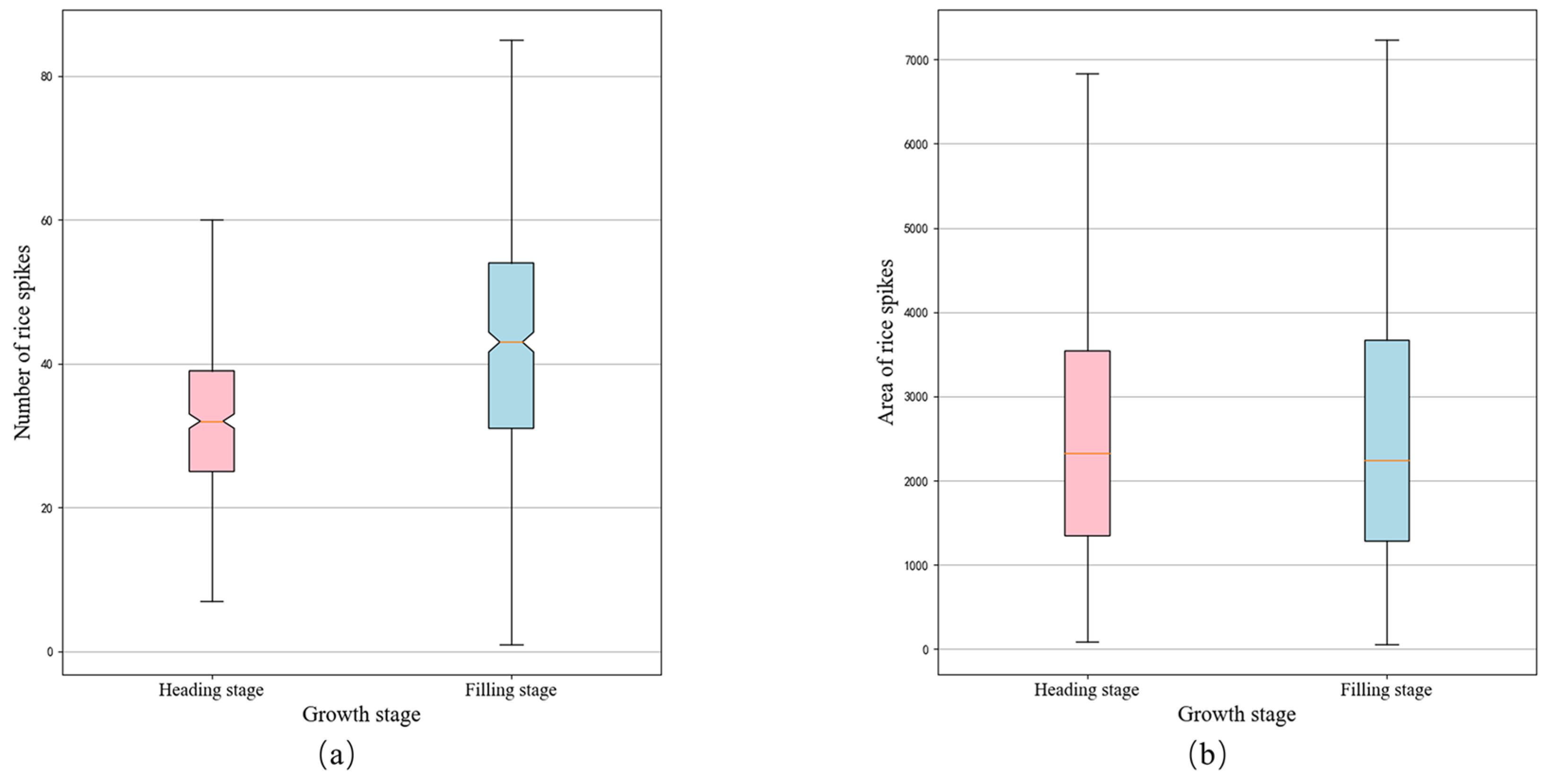 Agronomy 14 00836 g014