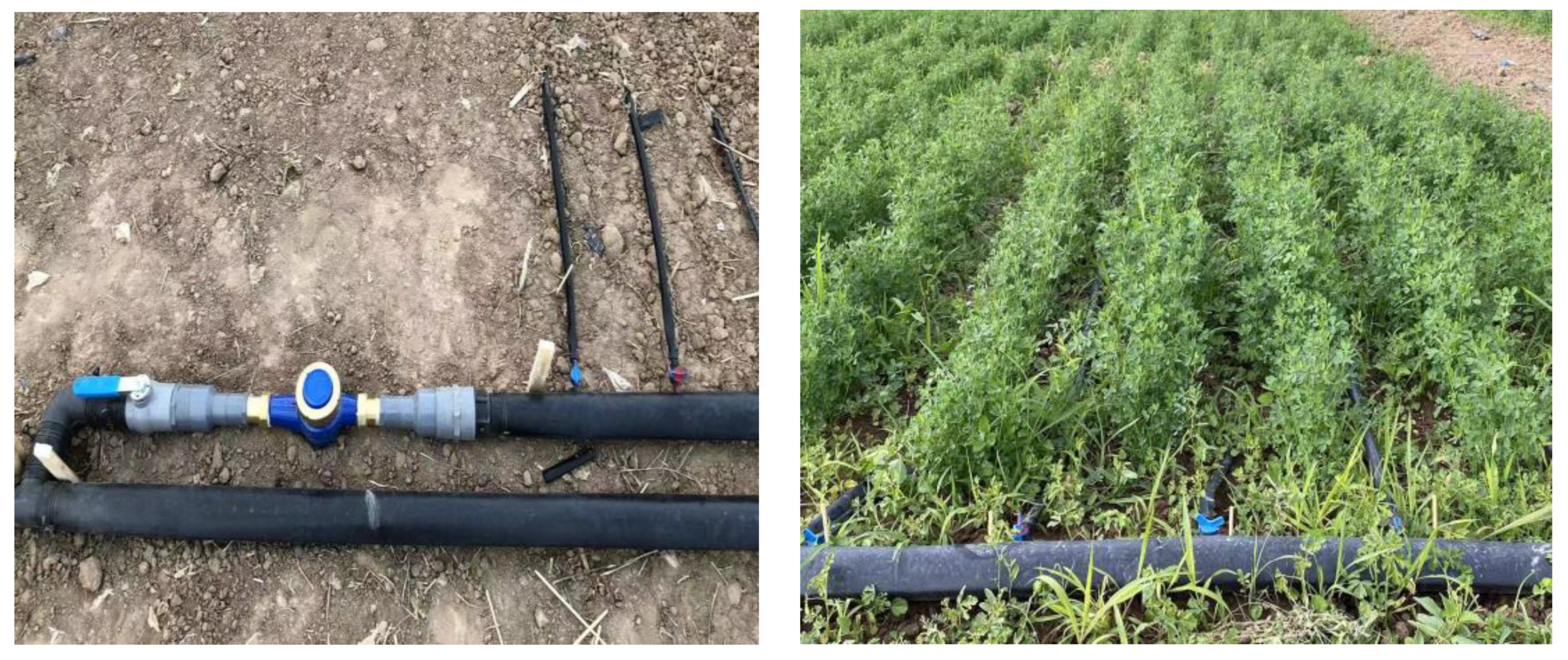 Agronomy 14 00849 g001